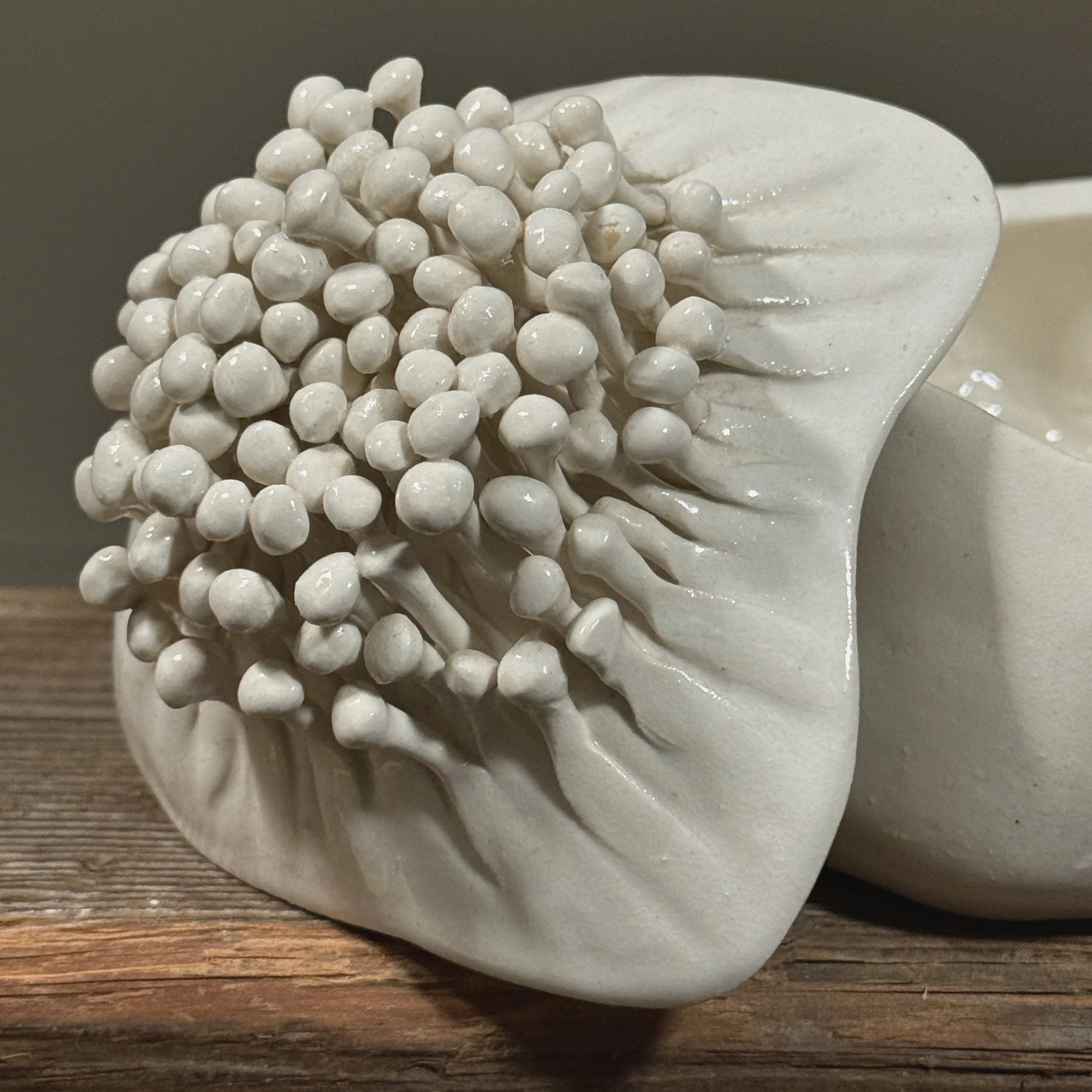 Close up of mushroom amoeba ceramic lid detail