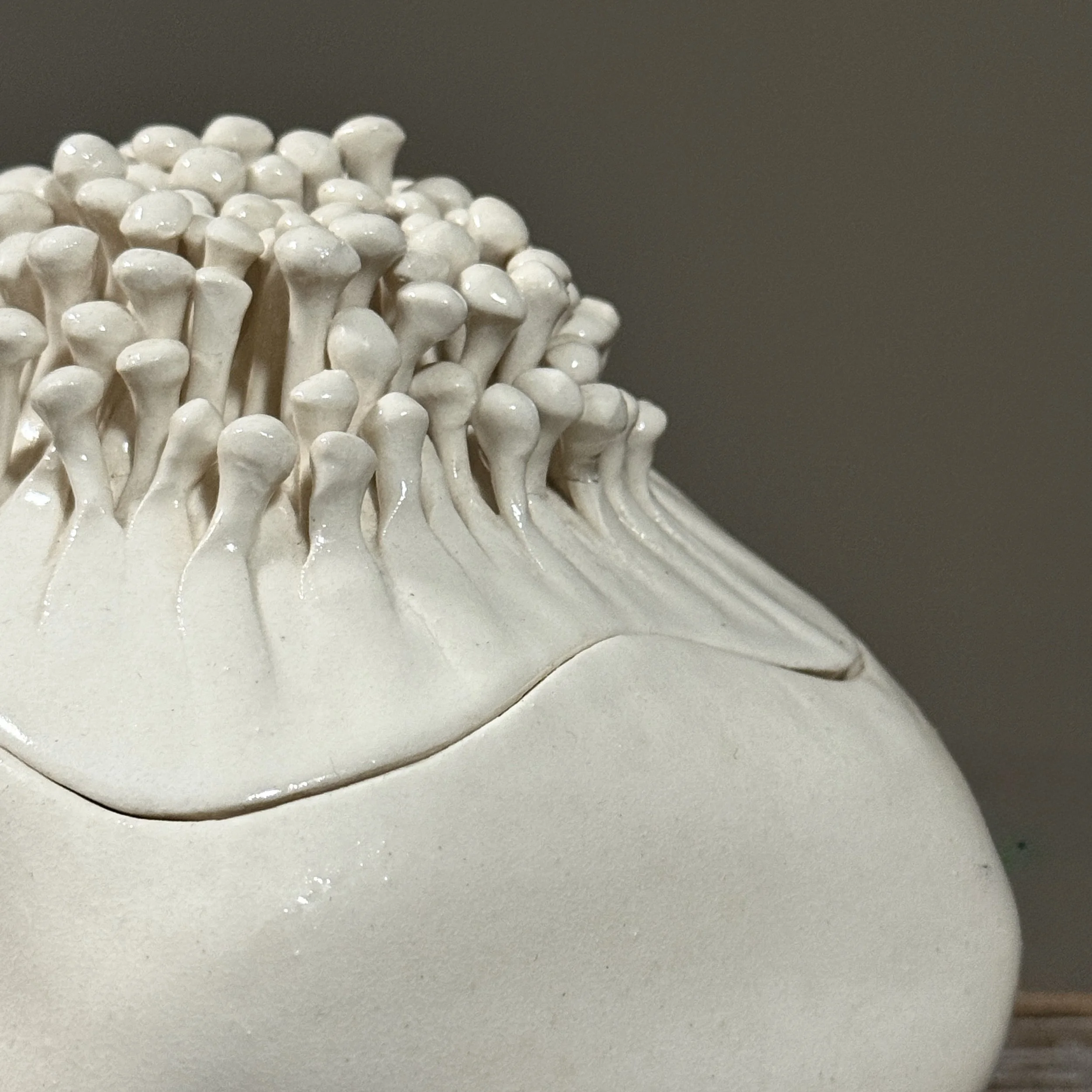 Close up of mushroom amoeba ceramic lid detail