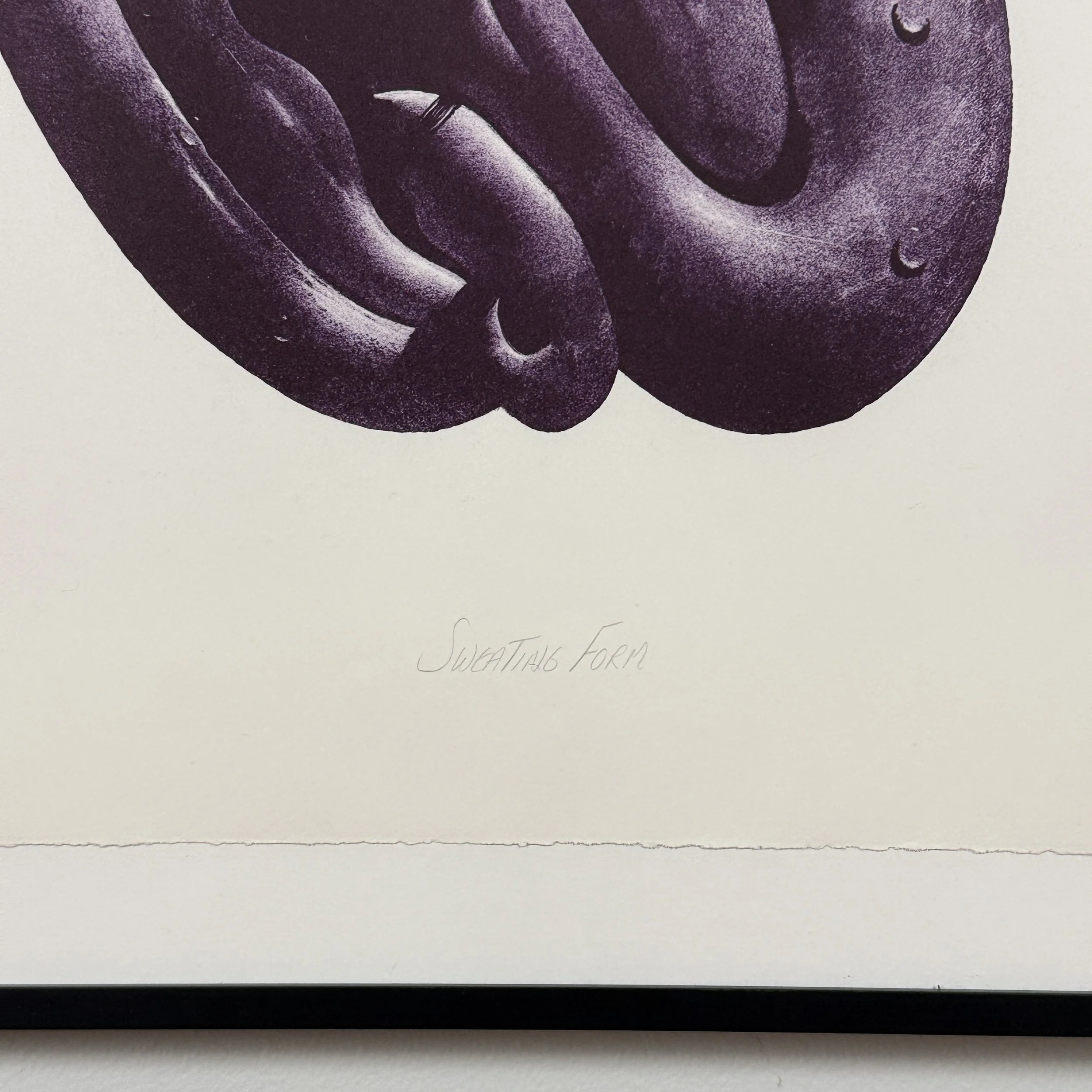 Detail showing the title "Sweating Form" inscribed in pencil by the artist