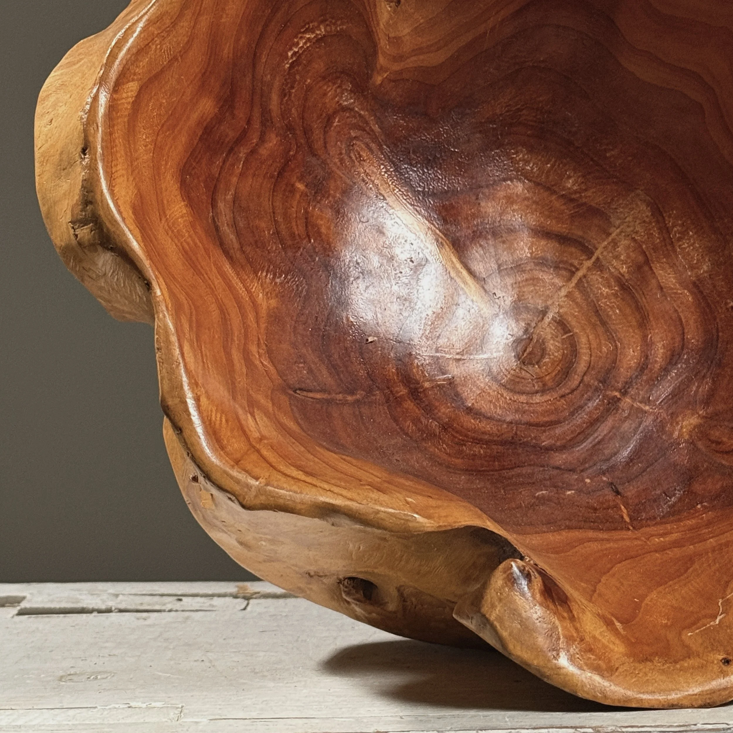 Close-up detail of the live edge exterior preserving the original bark and root texture