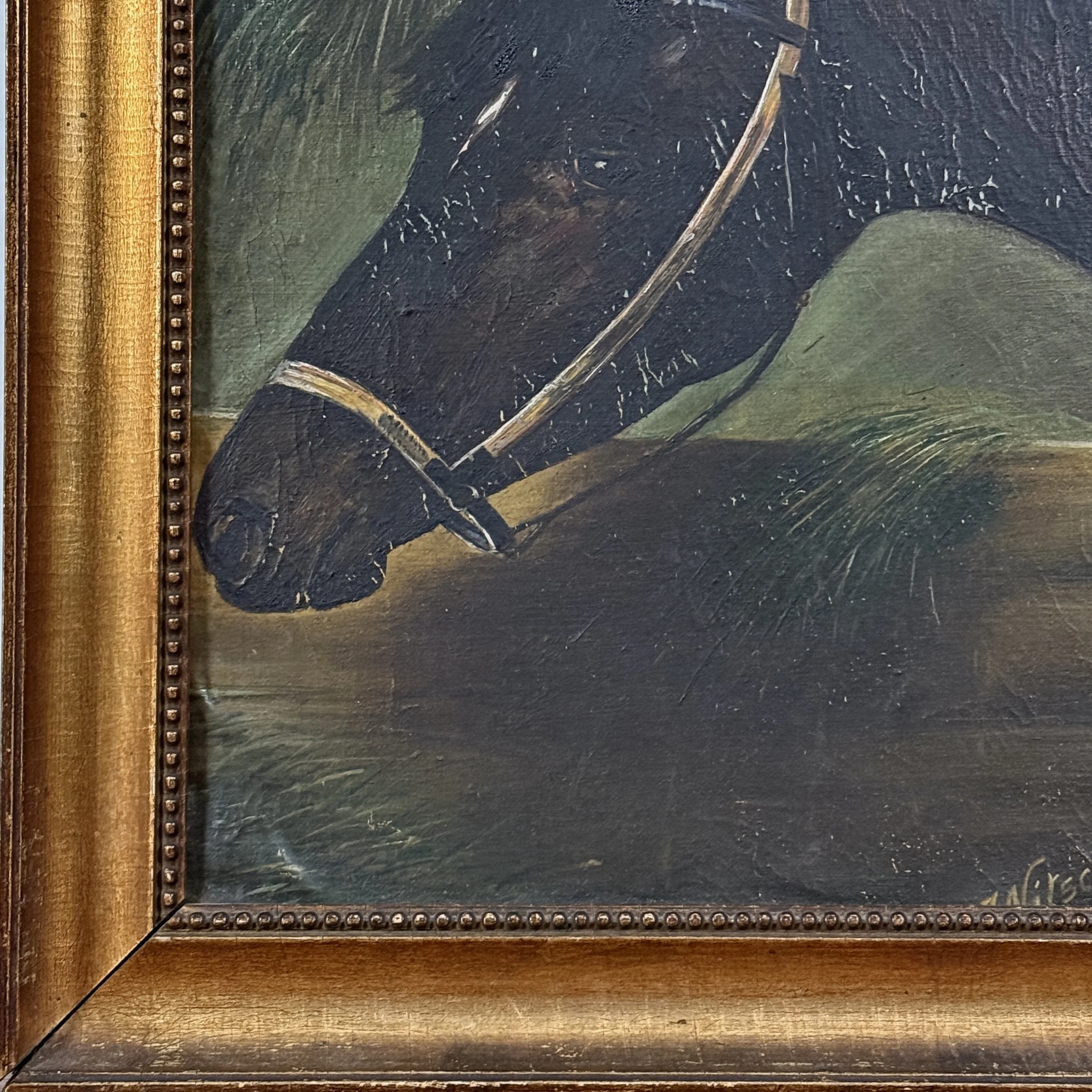 Oil on board antique realist portrait of a black horse, signed Nitsche lower right