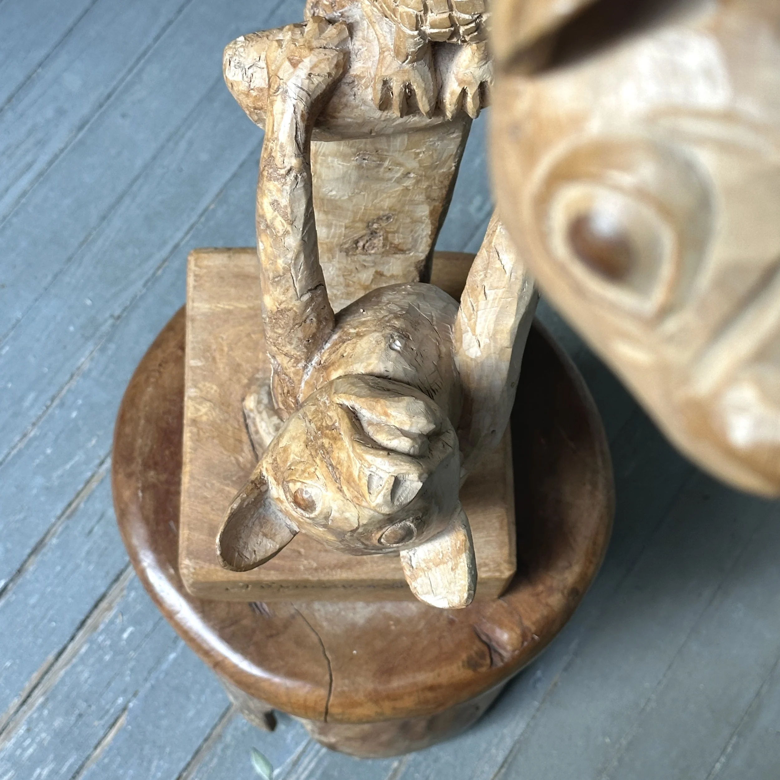 Close-up of the cat being chased upward along the toucan's form.