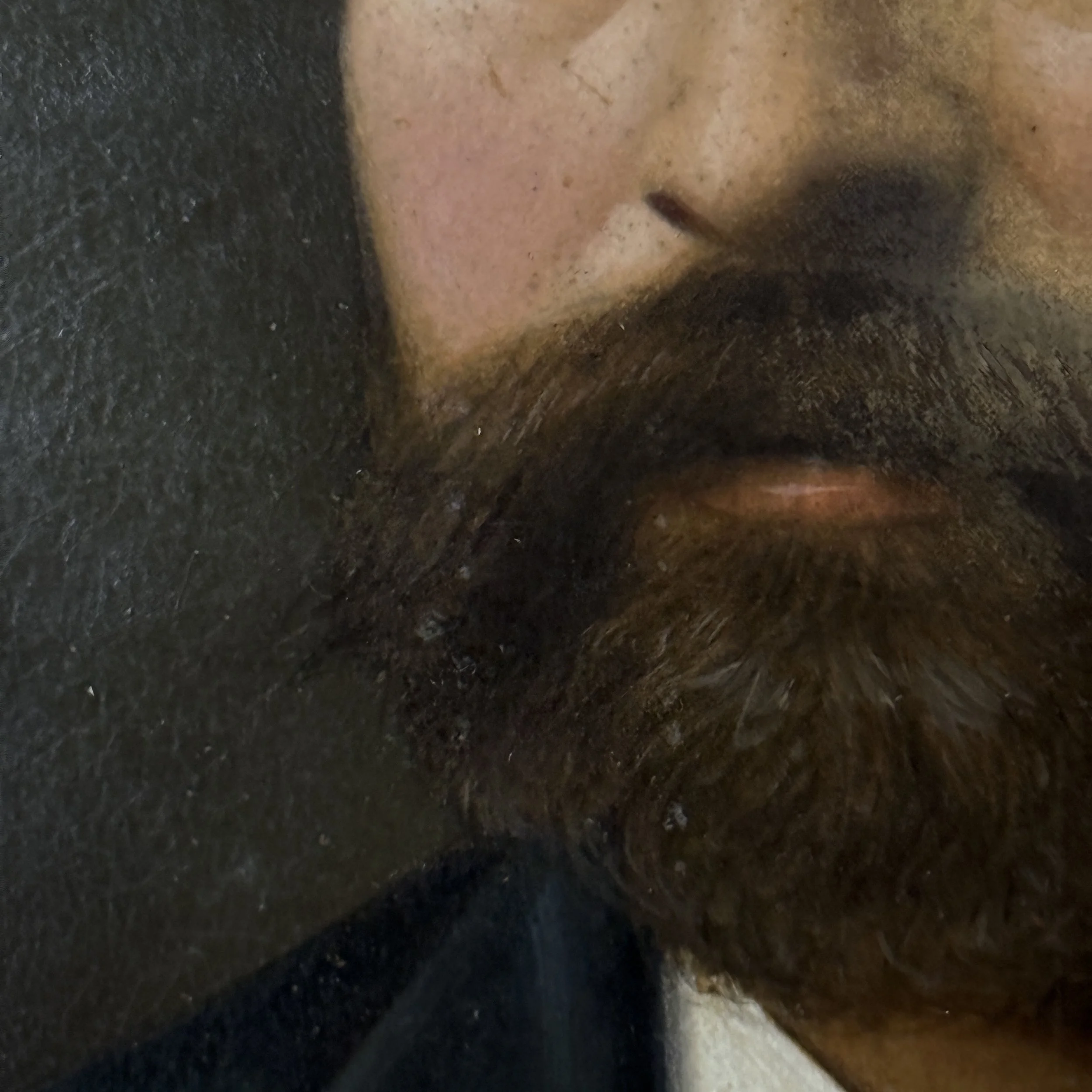 Detail of Antique Victorian British School portrait of a bearded man, oil on board