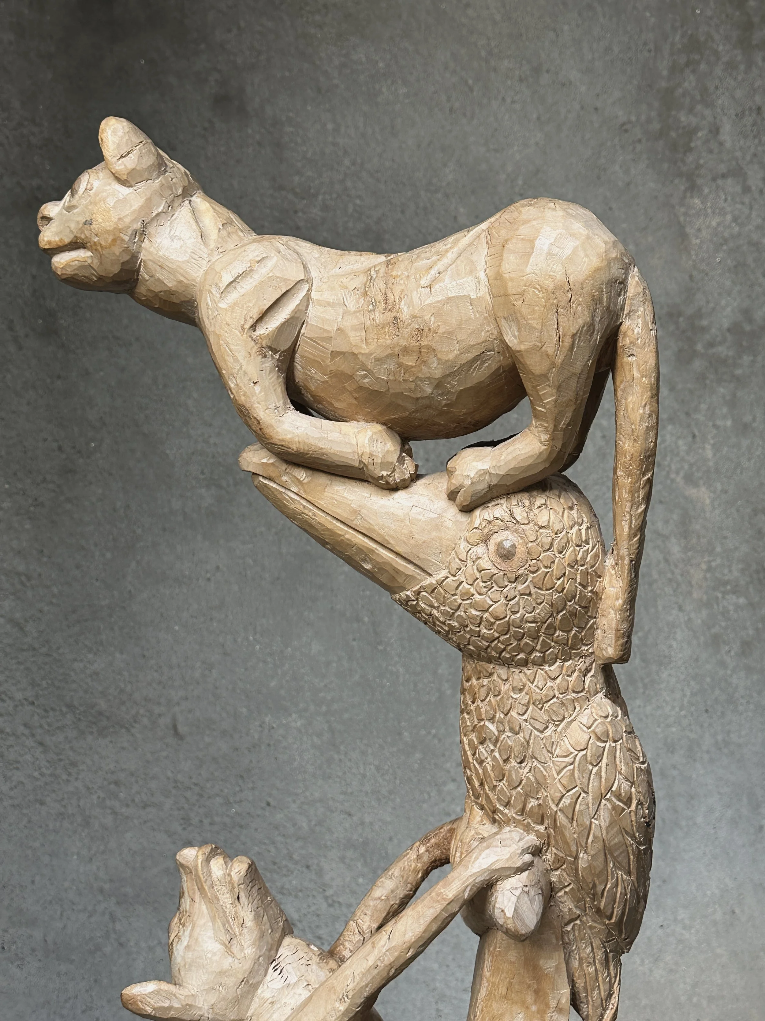 Close-up of the cat being chased upward along the toucan's form.