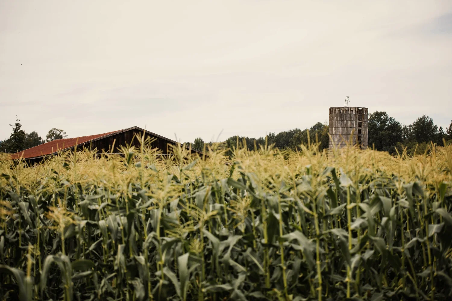Hunter Farms