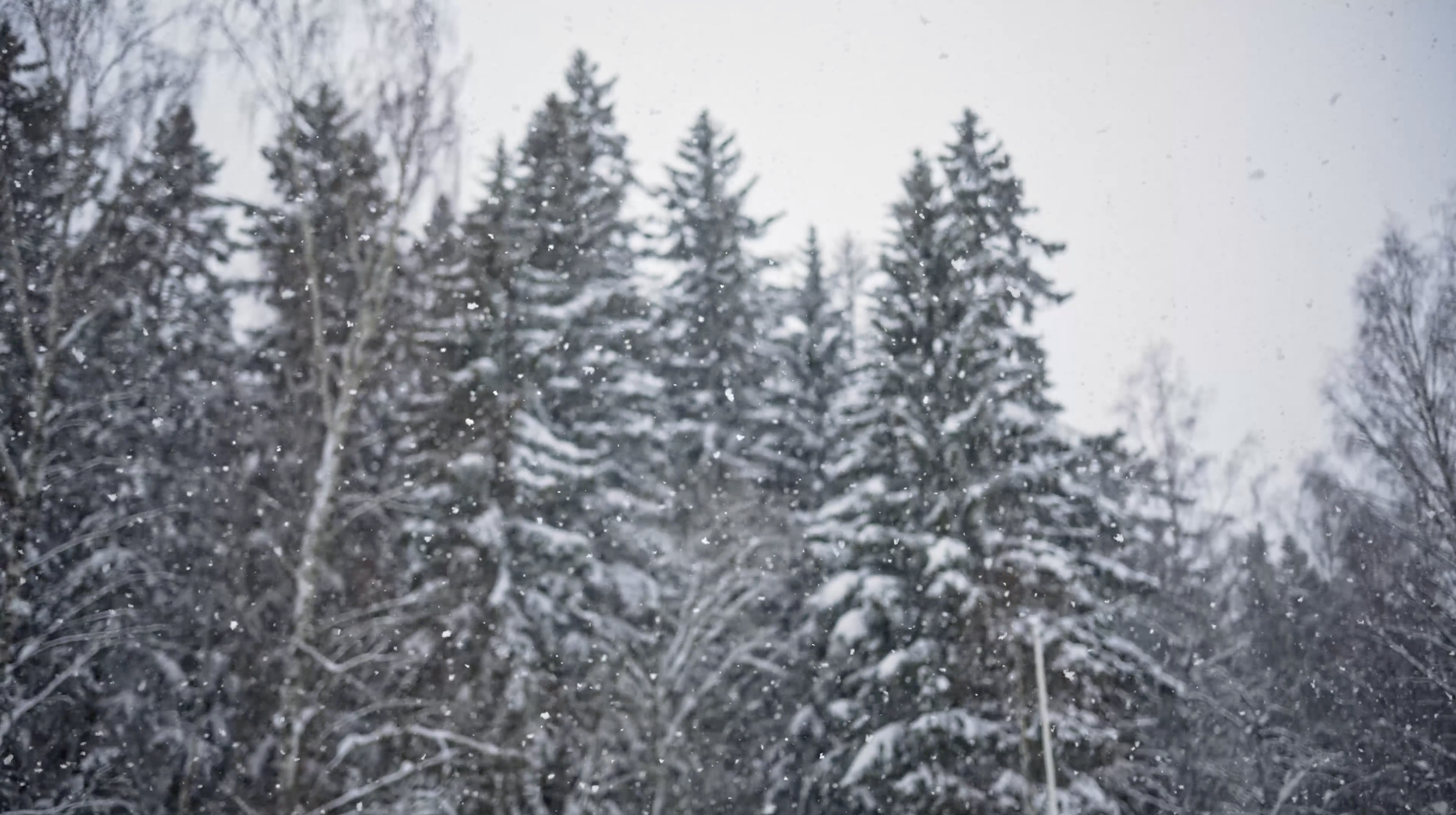 Skjermbilde 2026-01-19 kl. 19.32.56.png