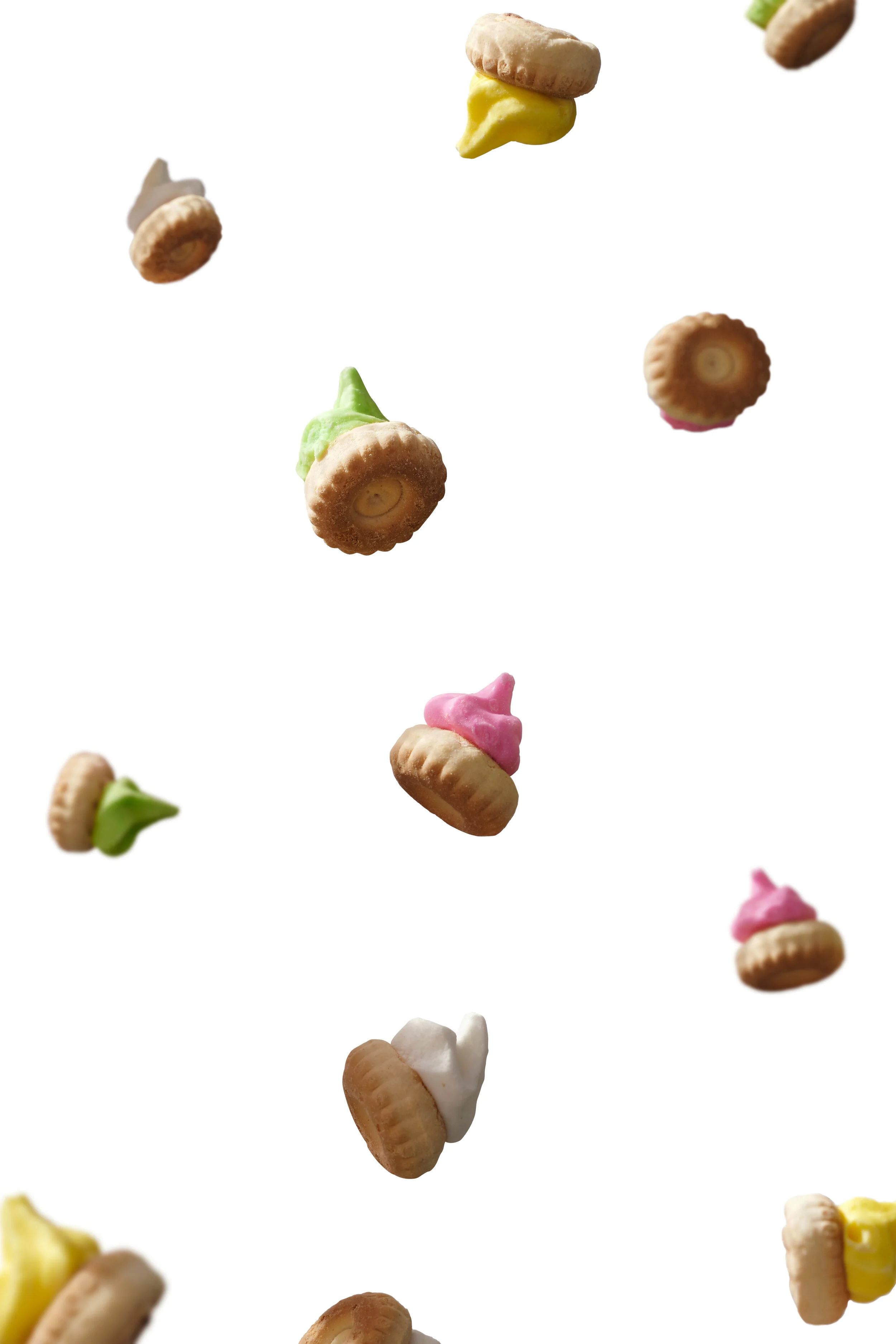 200803 Gem Biscuit Falling.jpeg