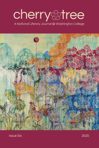 86336_CT6_front_cover.png