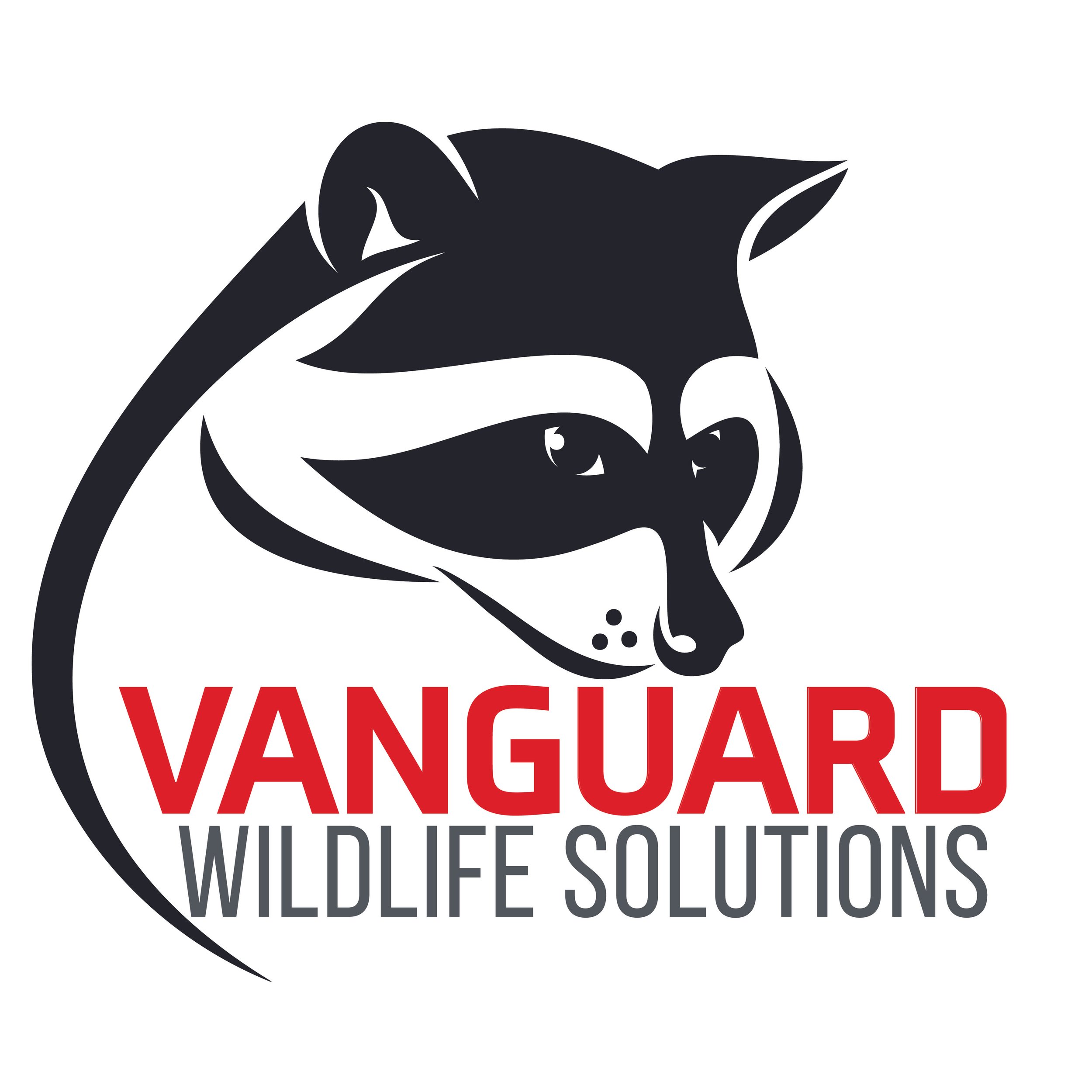 Vanguard.jpg