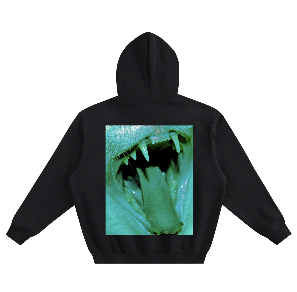 Screen Shot 2026-03-09 at 12.38.47 PM.png