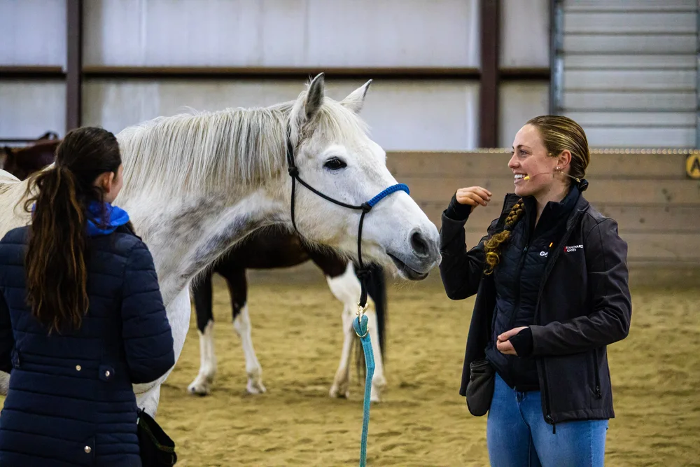 Riding Lessons North Kingstown RI — Braveheart Beasts Liberty Work