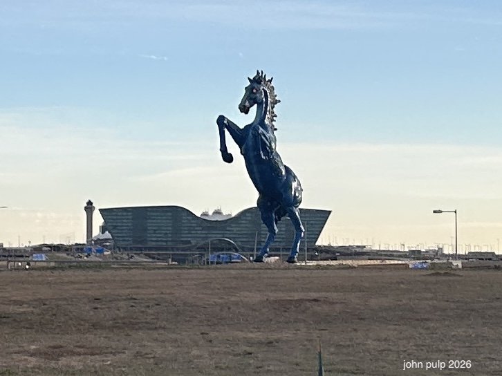 Not Mr. Ed.jpeg