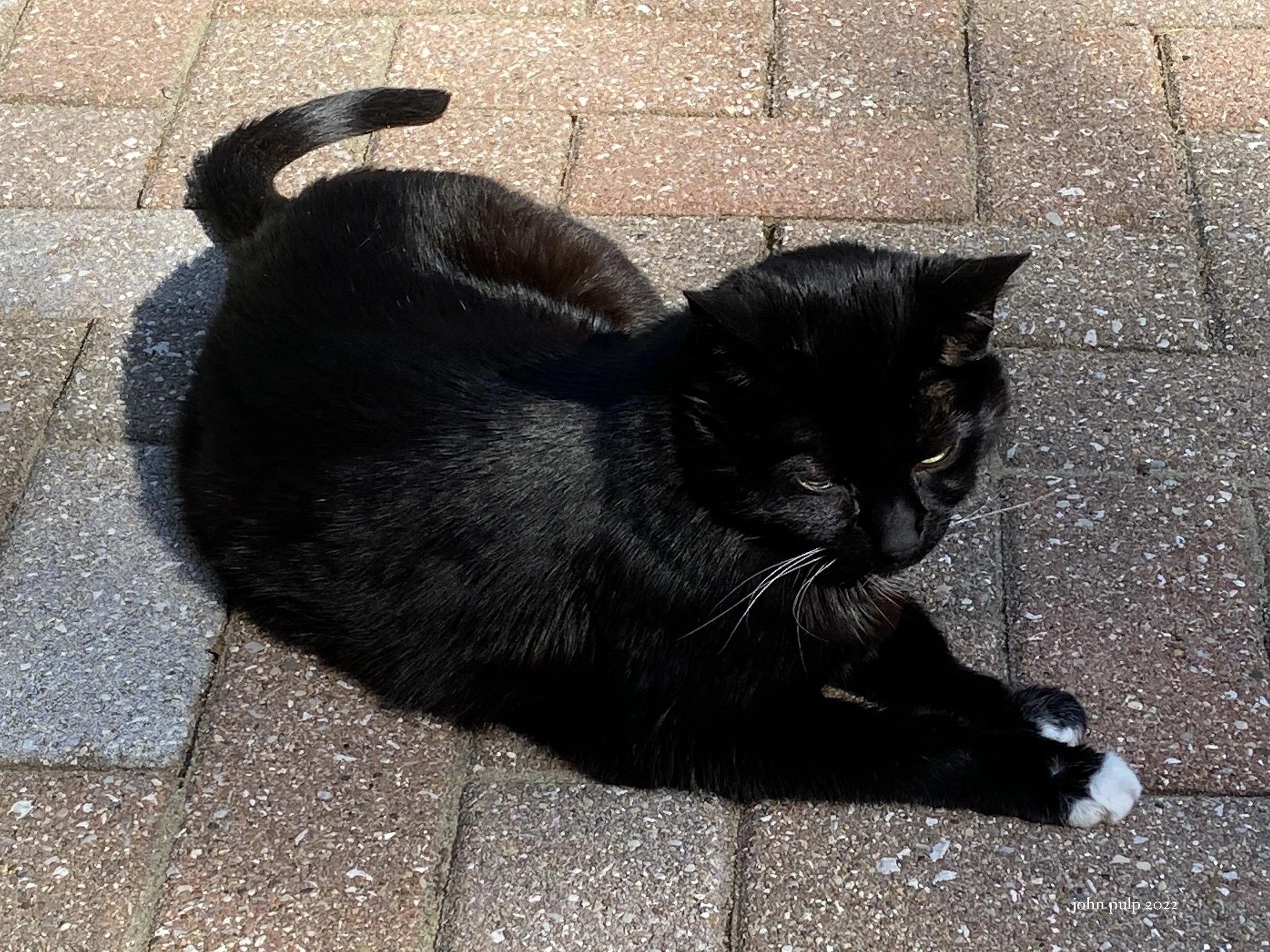 Zoe Patio Lounging