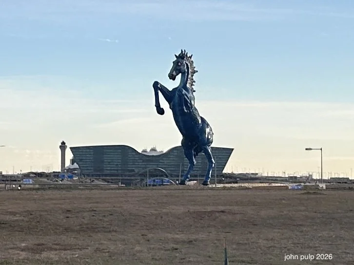 Not Mr. Ed.jpeg