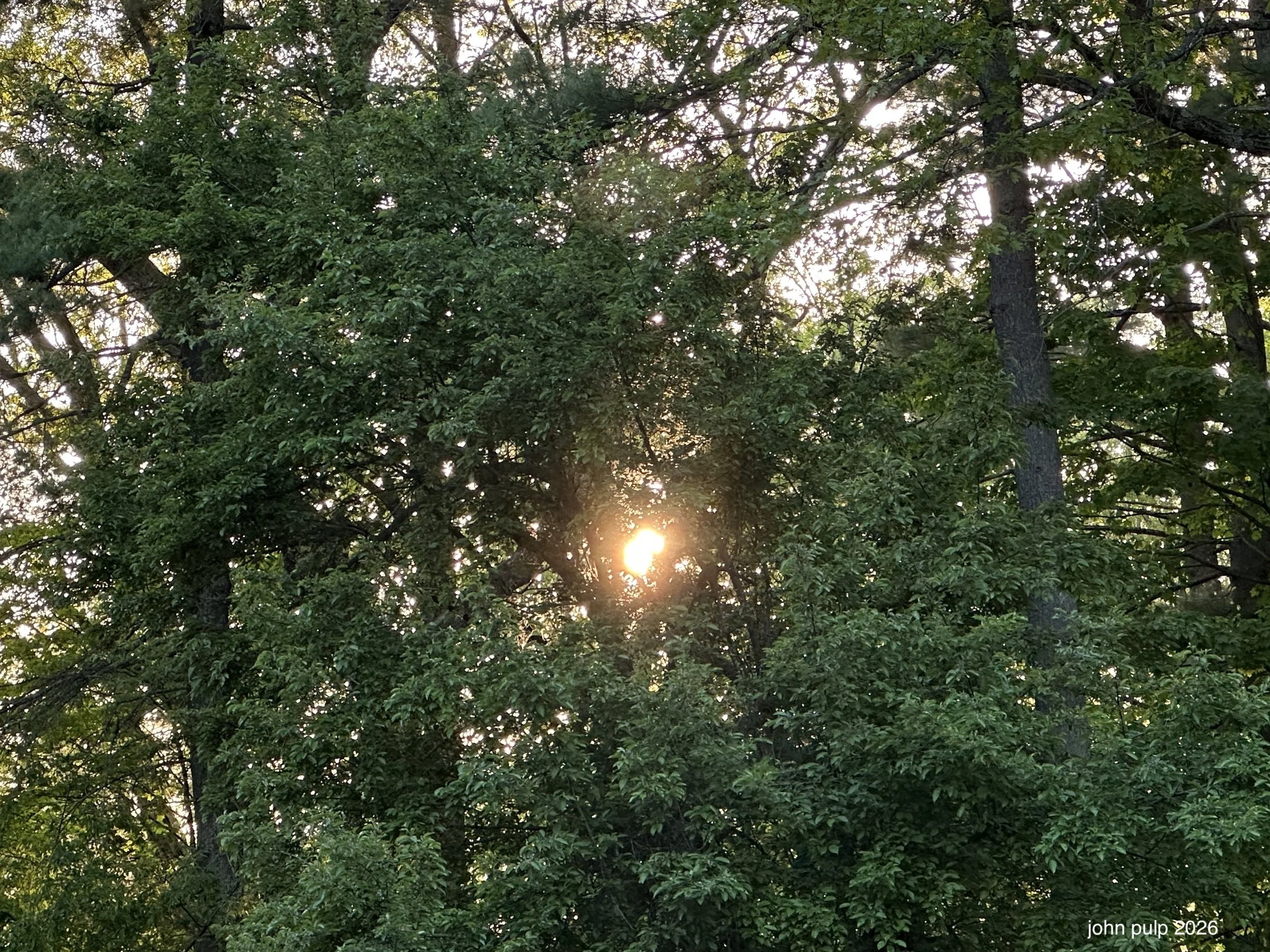 The Sun Comes Through.jpeg
