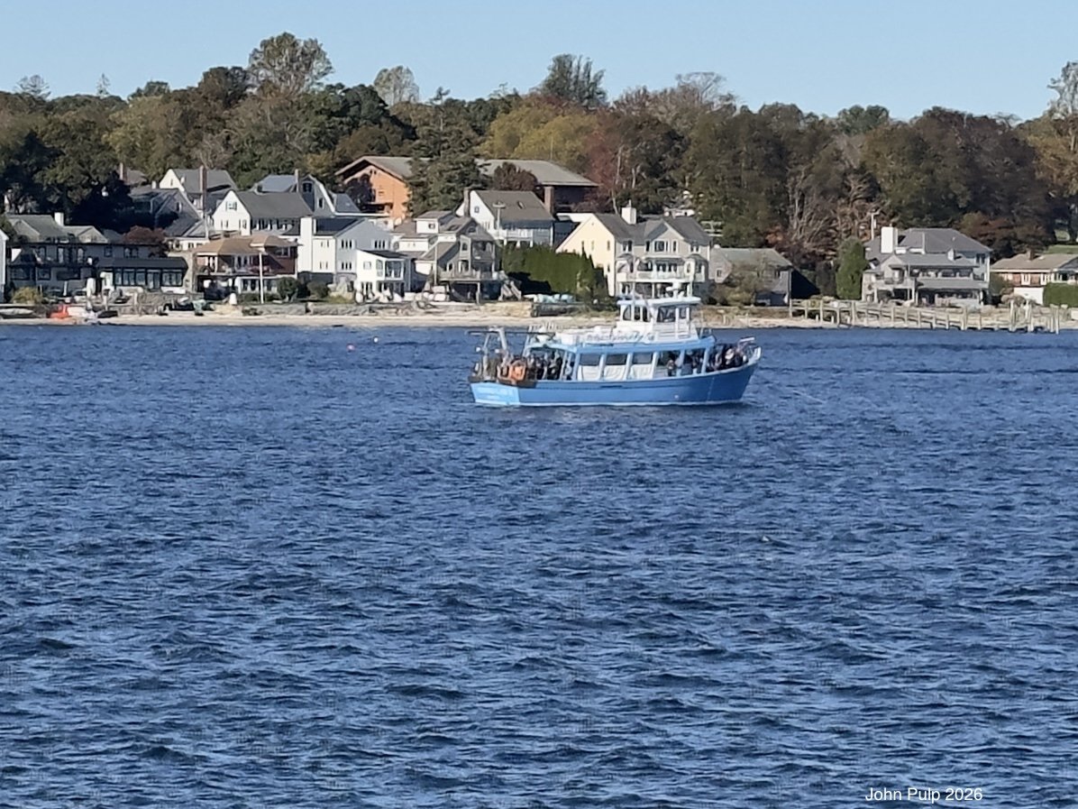 Anchored.jpeg