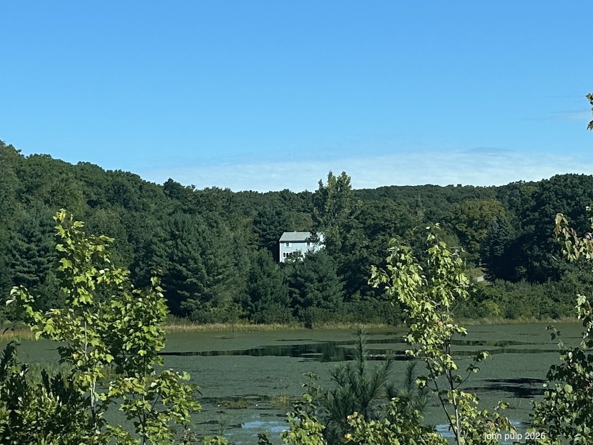 House on the Hill.jpeg