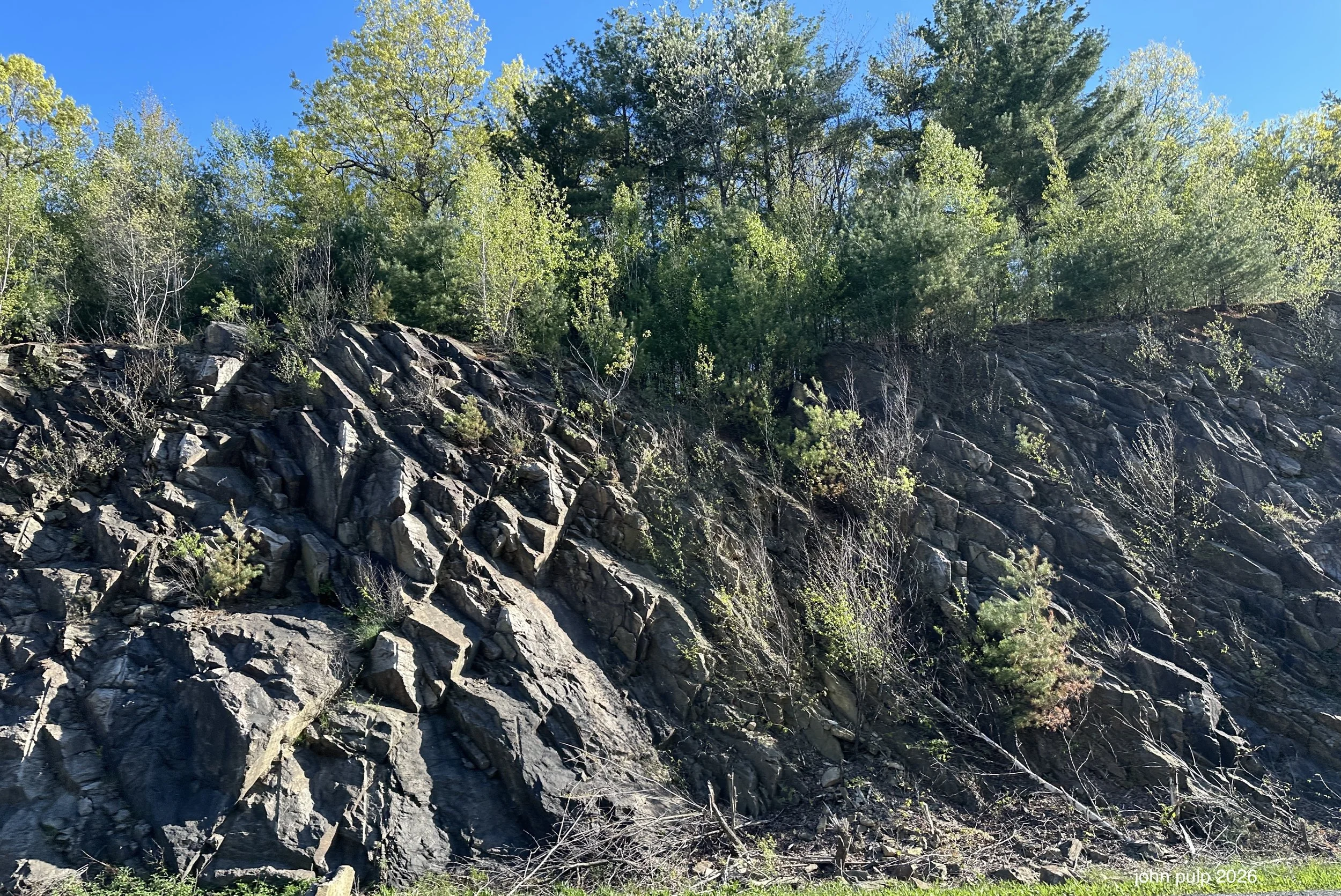 On the Rocks.jpeg