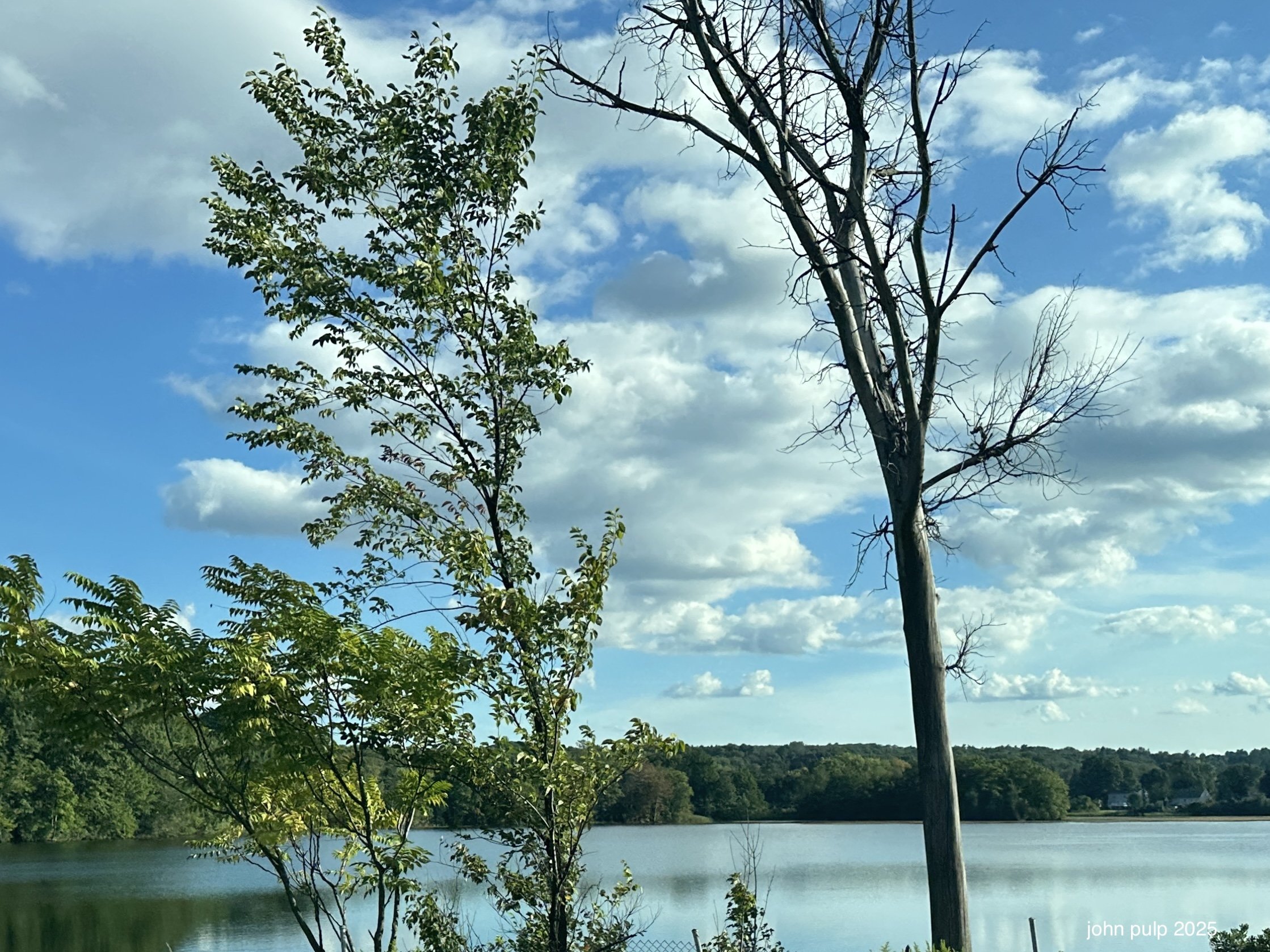Great Lake.jpeg
