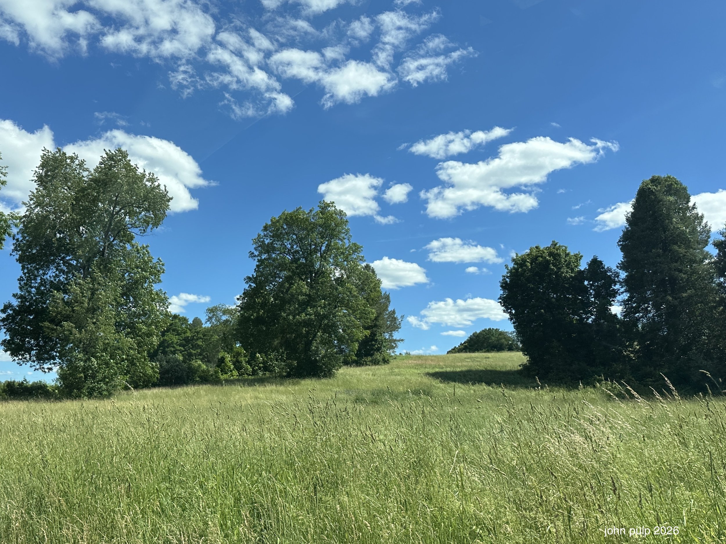 Green Fields and Blue Skies.jpeg