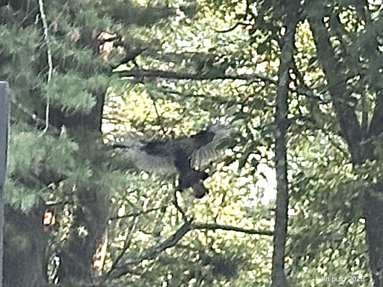 Another Turkey Abstract.jpeg