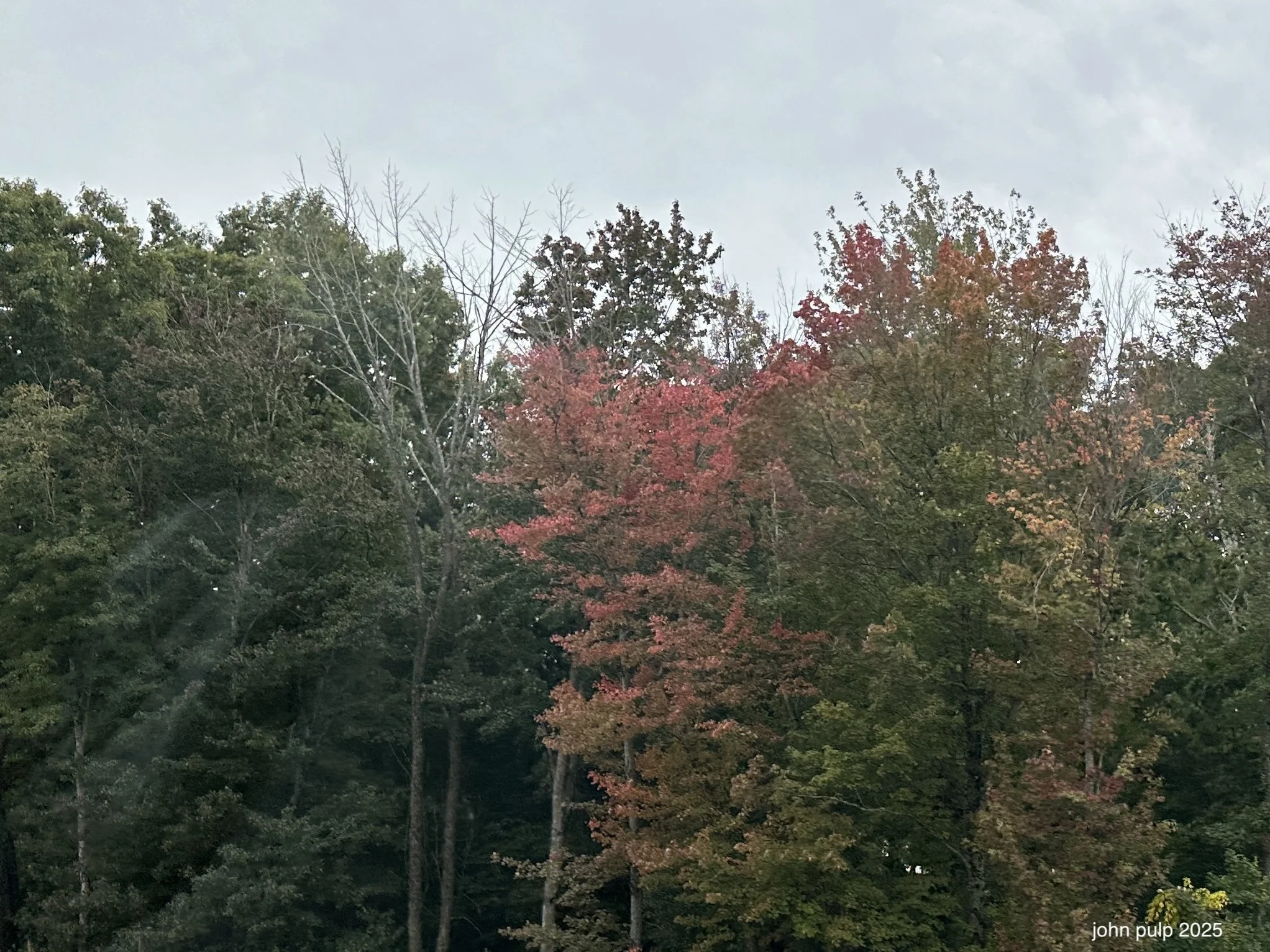 The Foliage Begins.jpeg