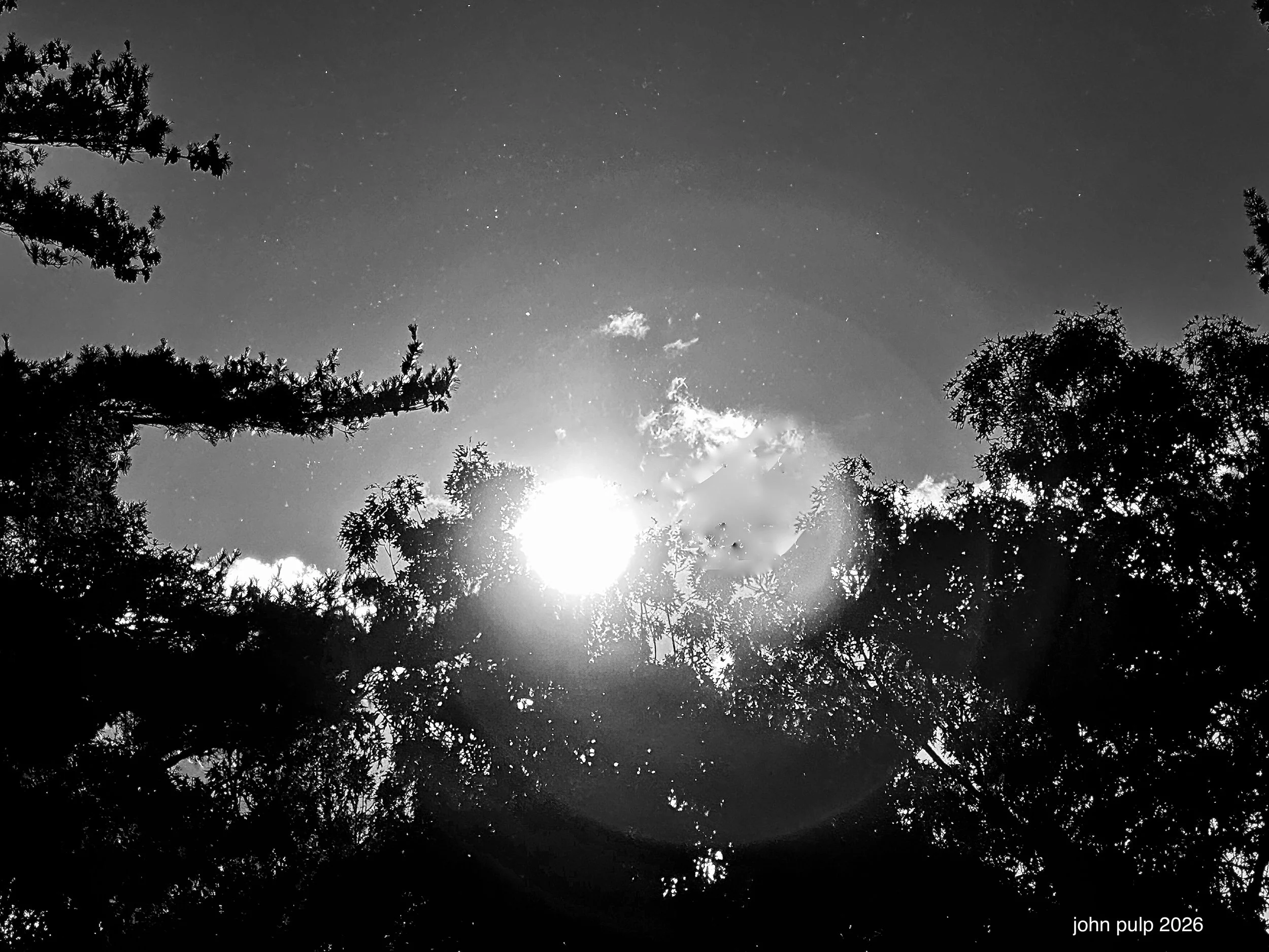 Black and White Sun.jpeg