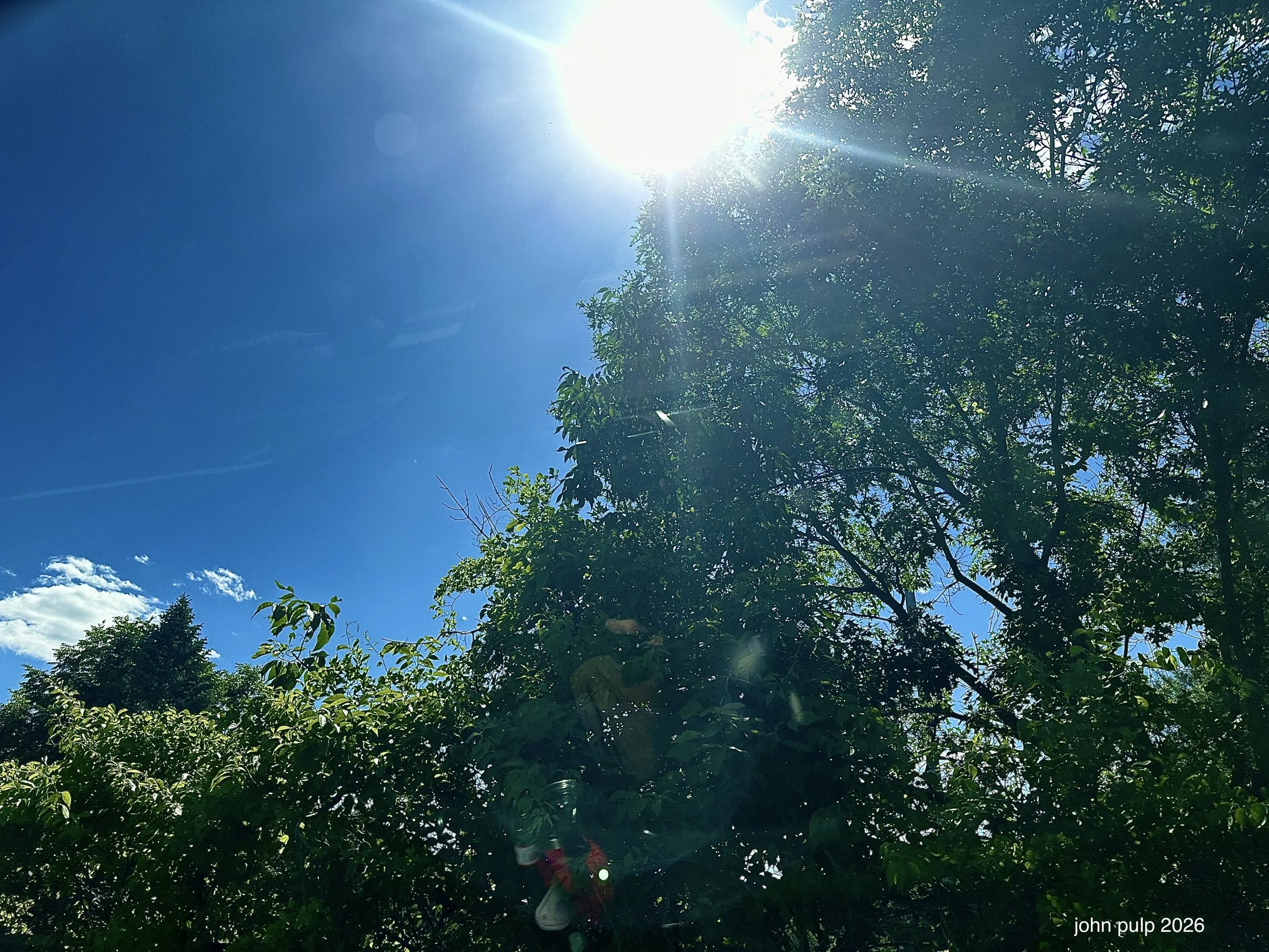 Power Sun.jpeg