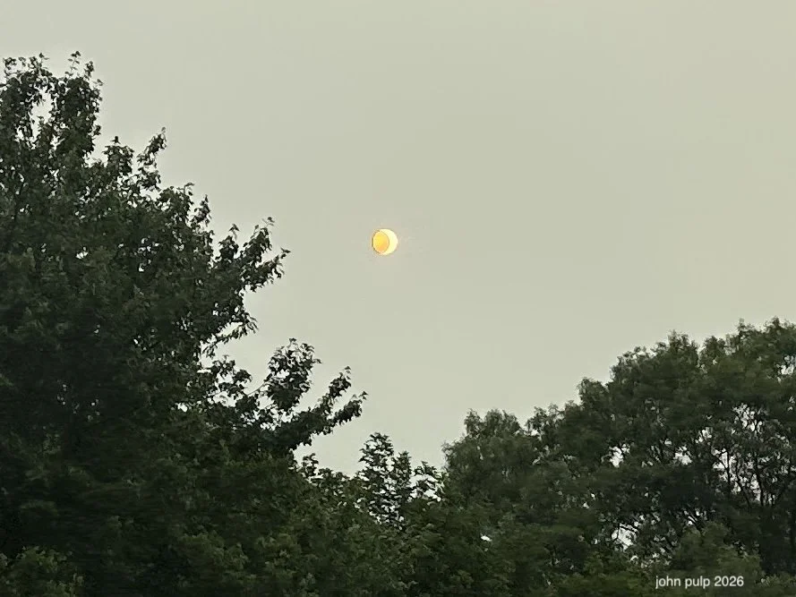 The Wildfire Sun.jpeg