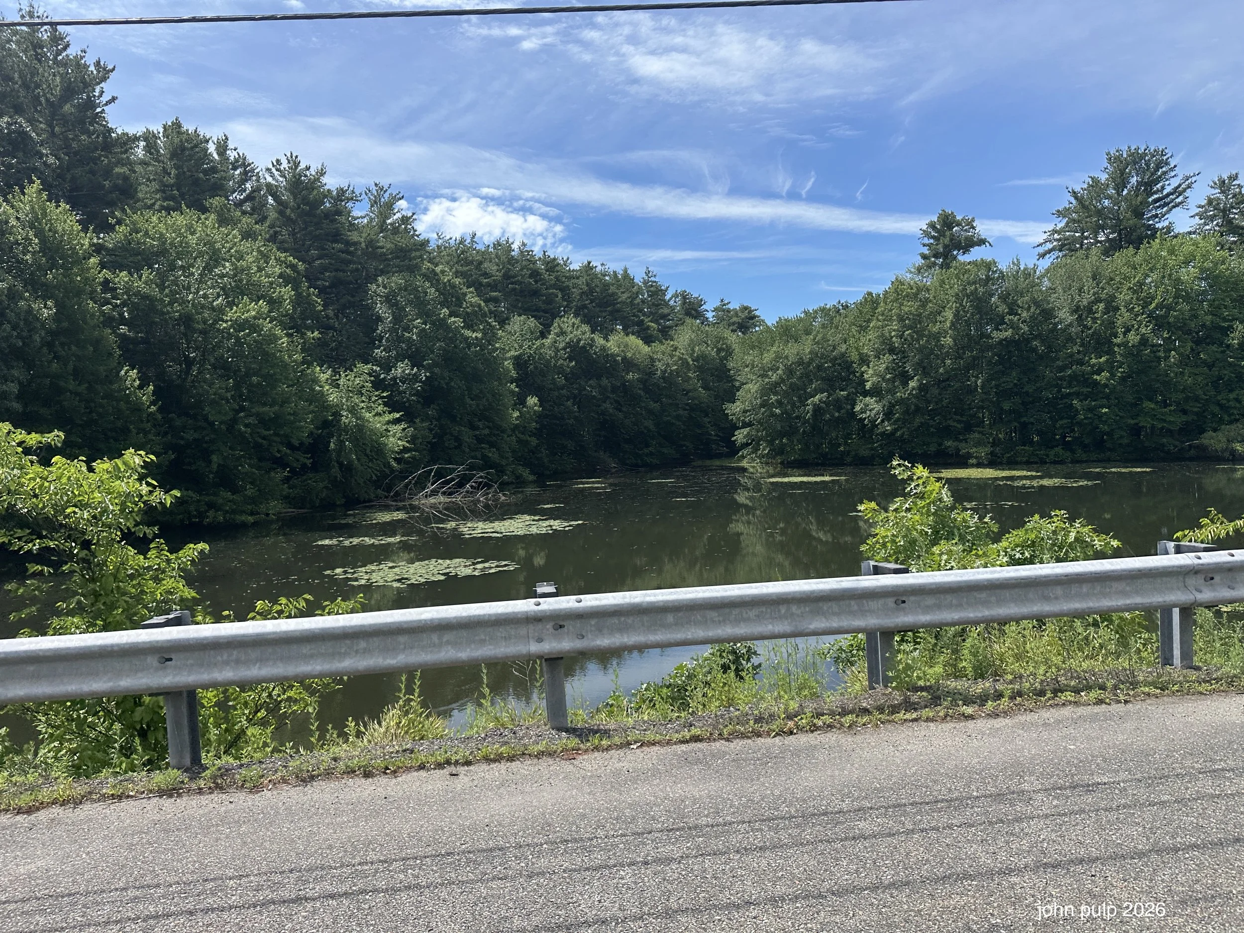 Road Pond.jpeg