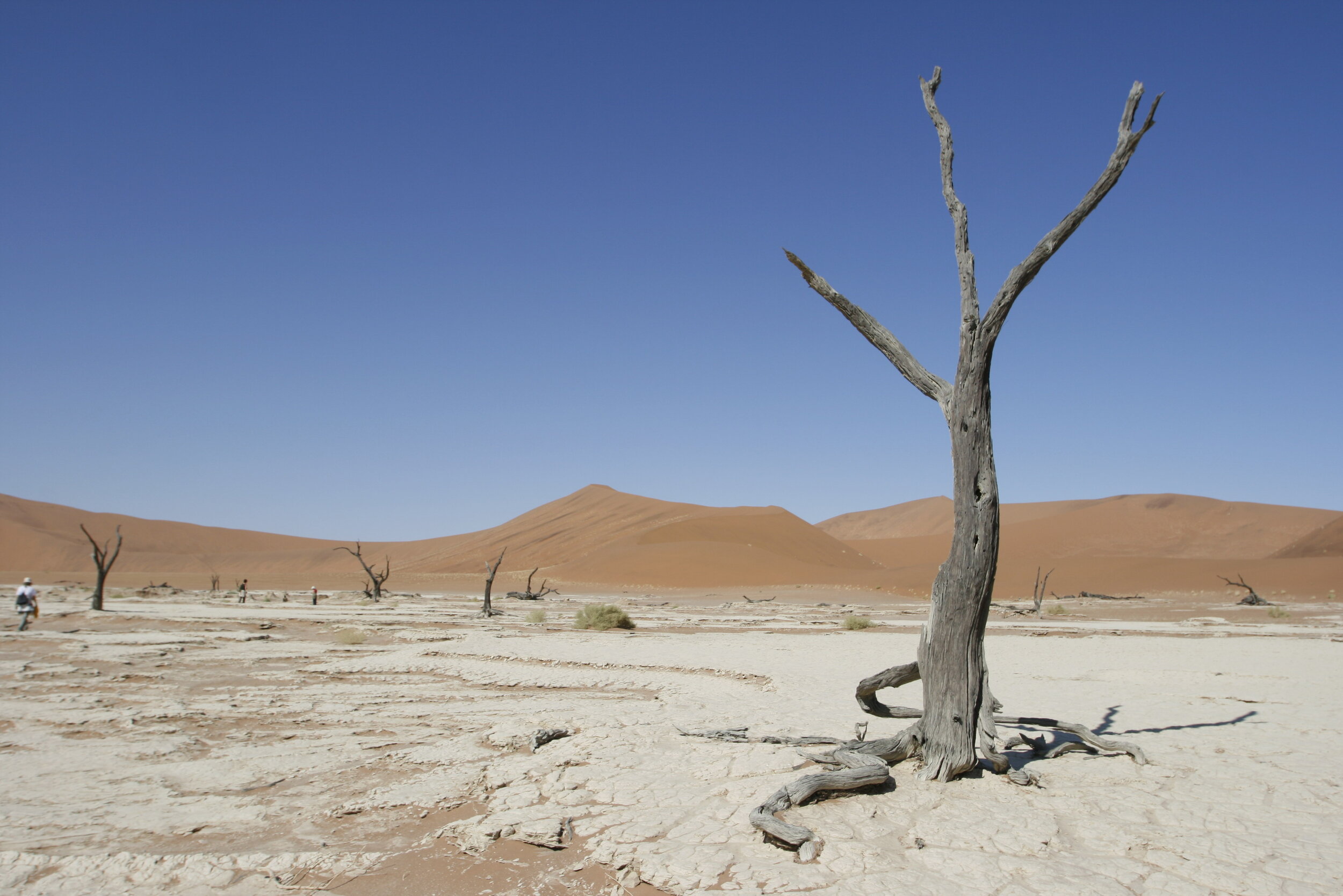 Namibia Sur (49).jpg