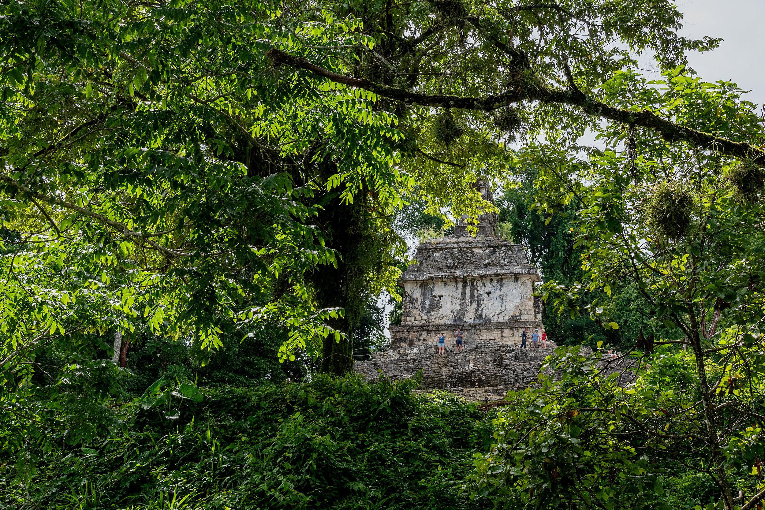 Palenque