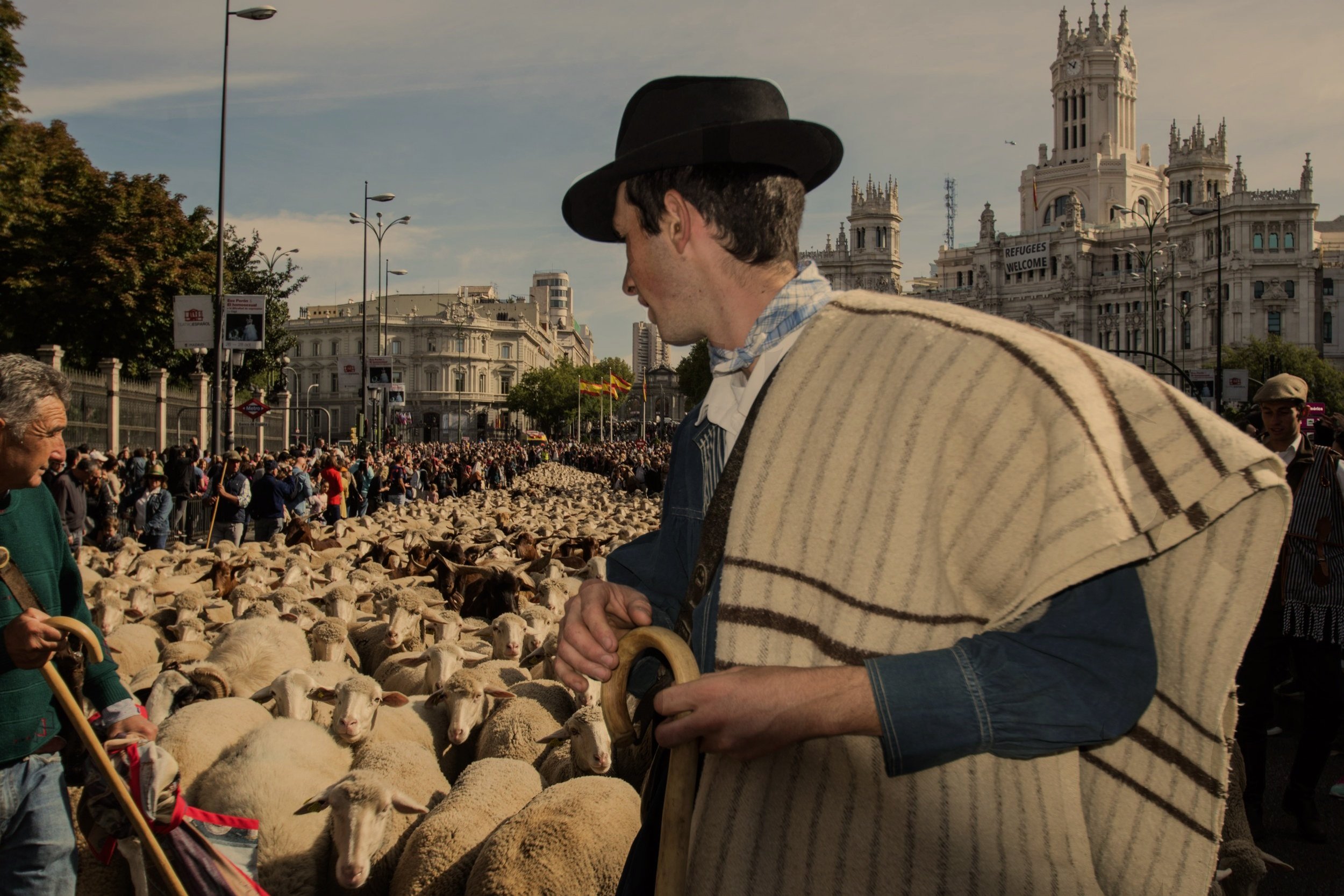 Fiesta de la Transhumancia 2018