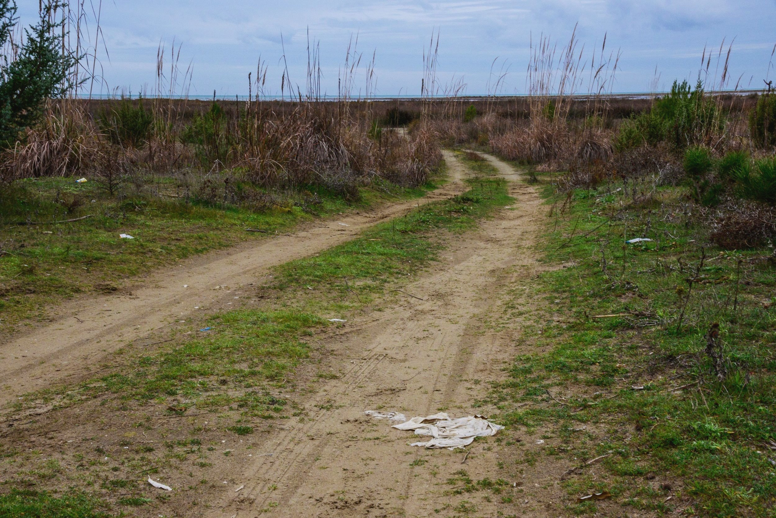 Divjaka Parque Natural