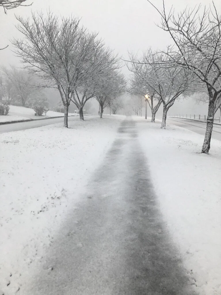 Kingston Pike Sequoyah Hills Association