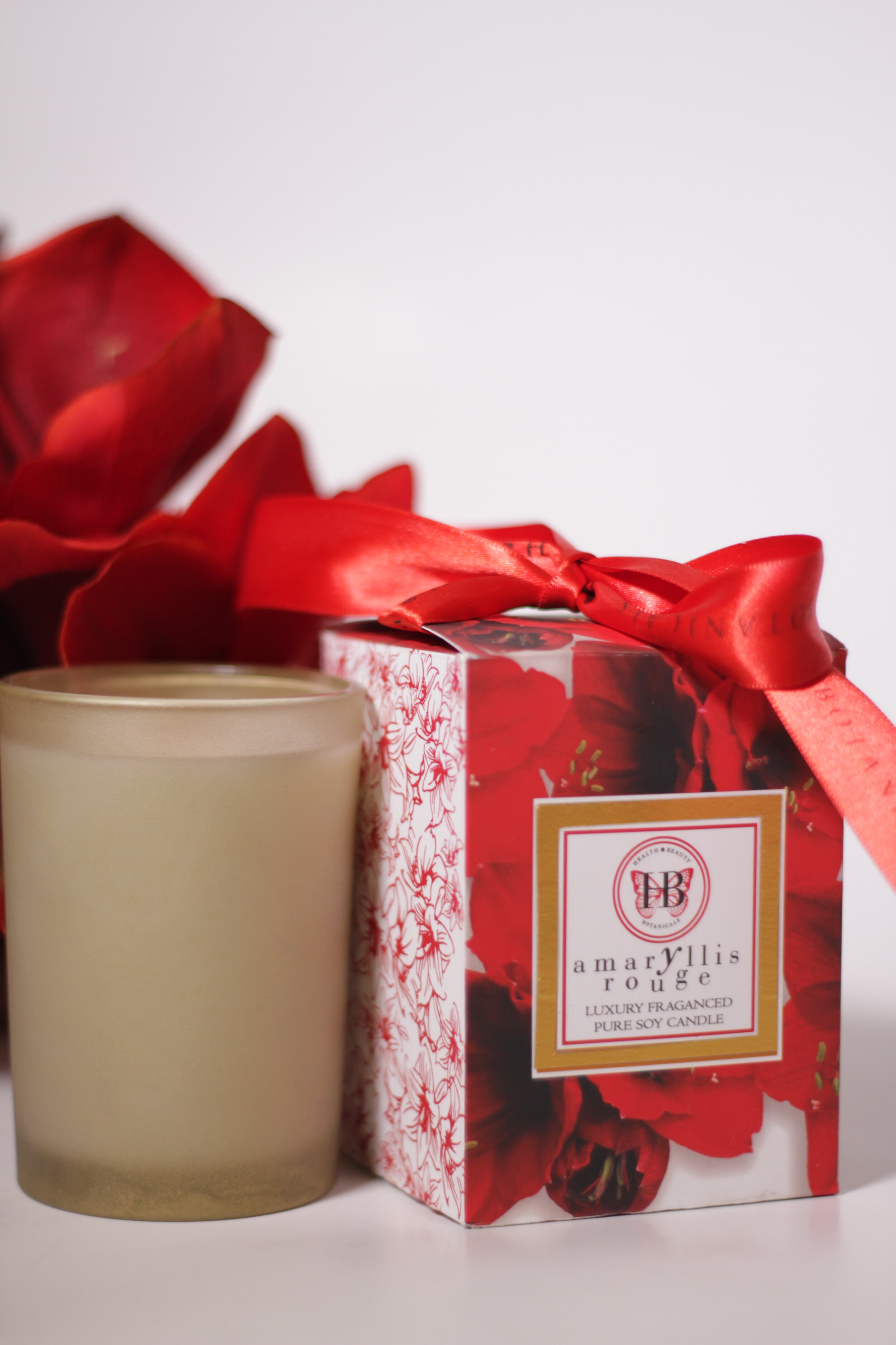 Amaryllis-rouge-white-background-flower-side-of-candle-box-with-candle.jpeg