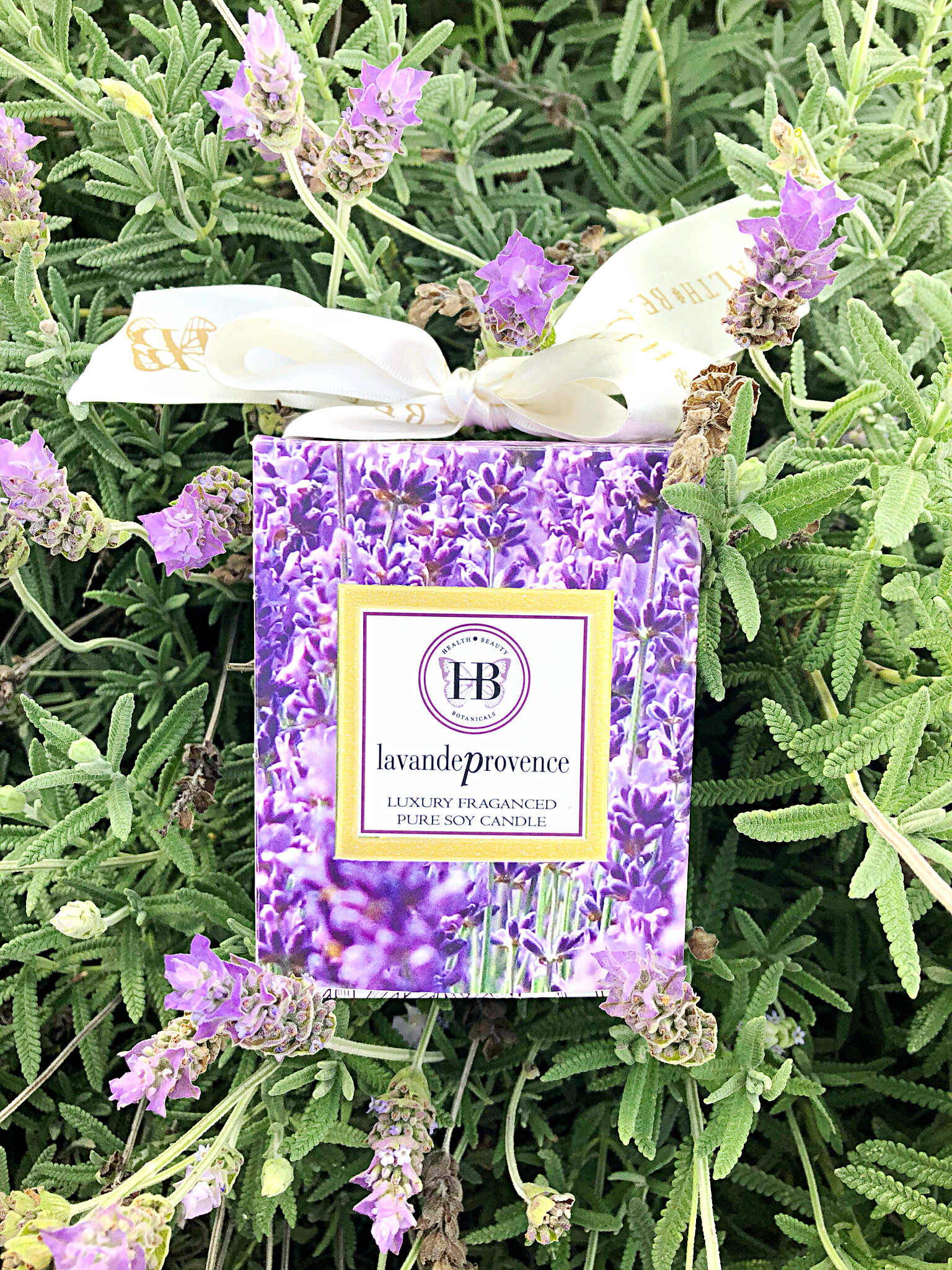 lavande-photo-side-in-lavender-field.jpeg
