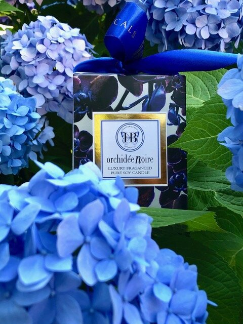 Orchidee Noir Hydrangeas.jpeg
