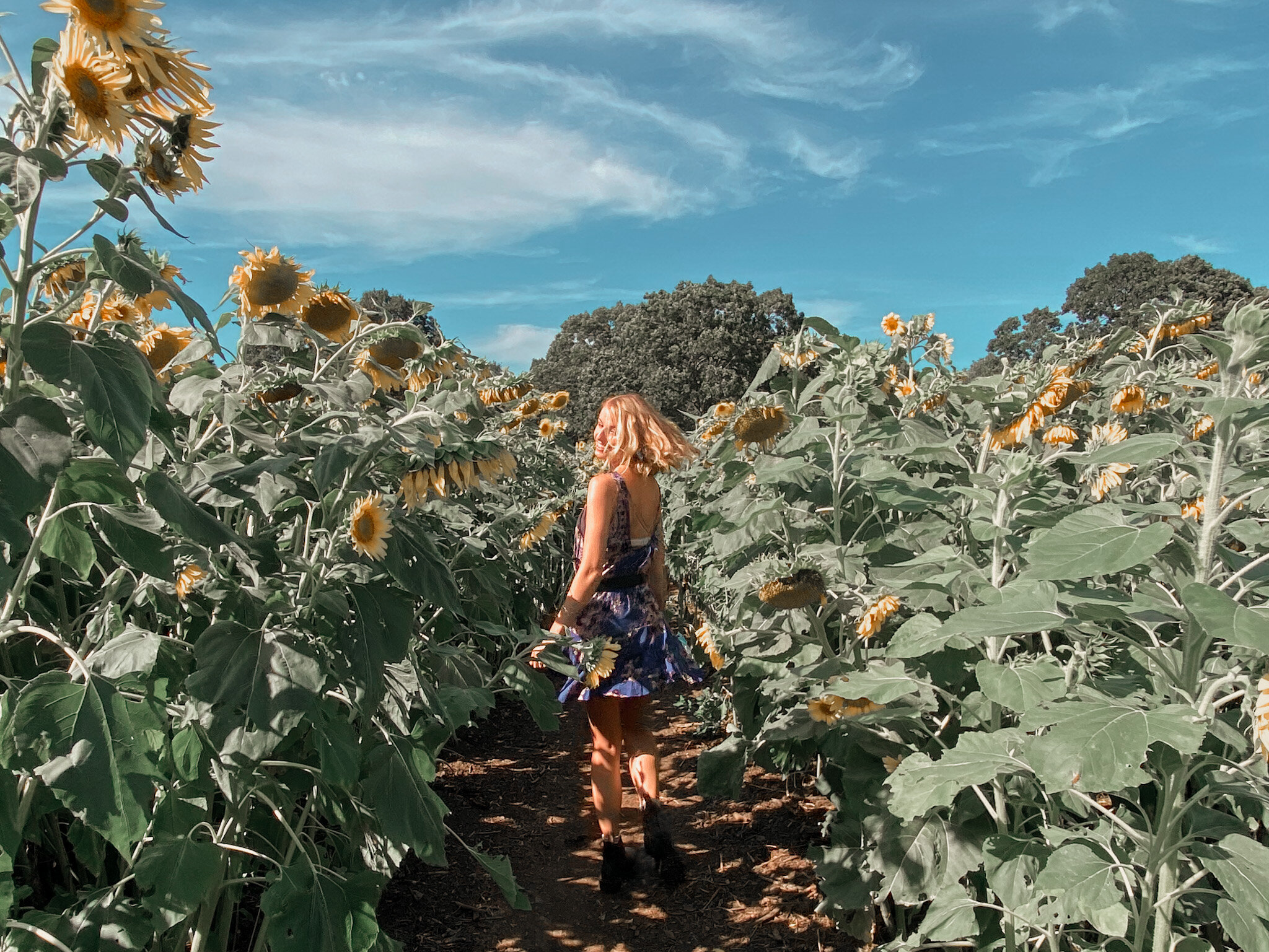 emily with sunflowers