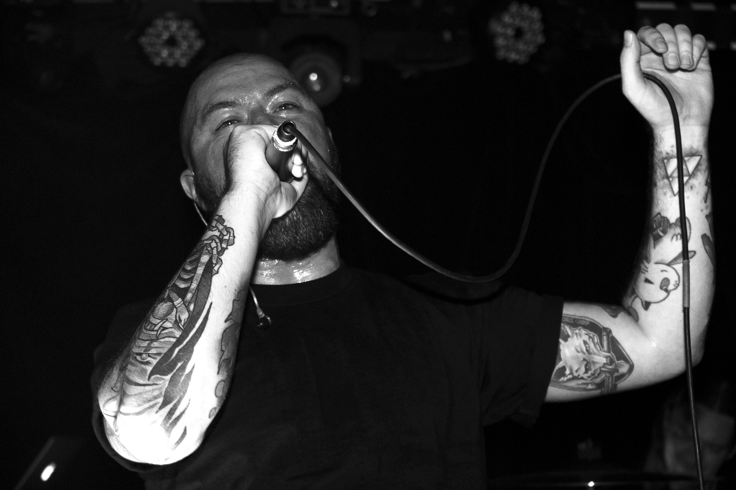 Allegaeon
