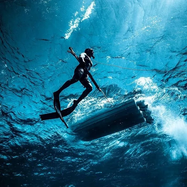 Come take a spearfishing trip with me! Learn to spearfish and free dive. Link in bio for info. #frogmanfriday 📸 @j.kowitz
