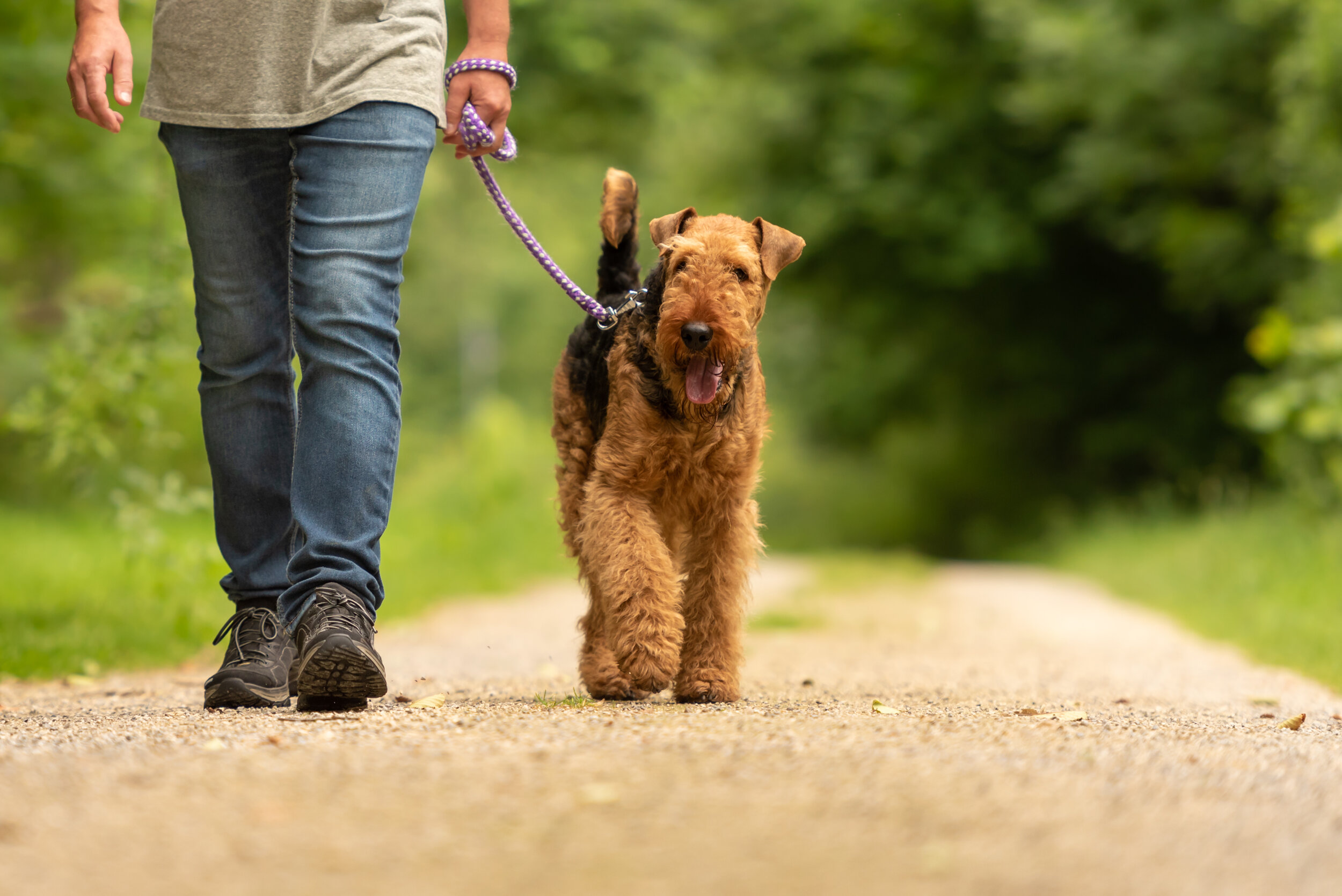 Hiking Etiquette: It’s Time to Get Active, Today!