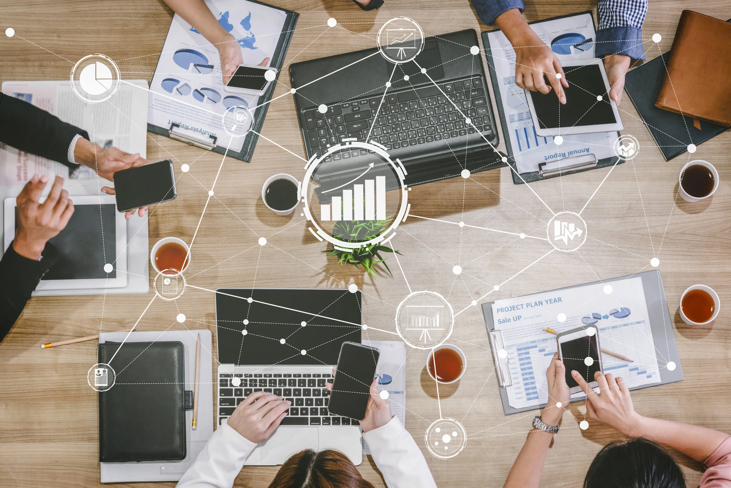 Coattail Effect: How To Successfully Leverage It For Growth - t6ej783