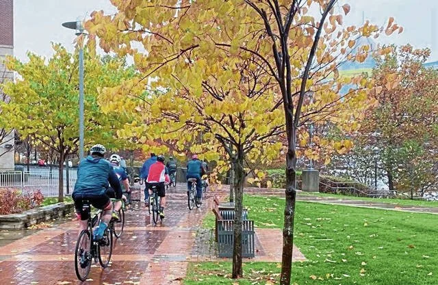 Trib Press Photo HR.jpeg