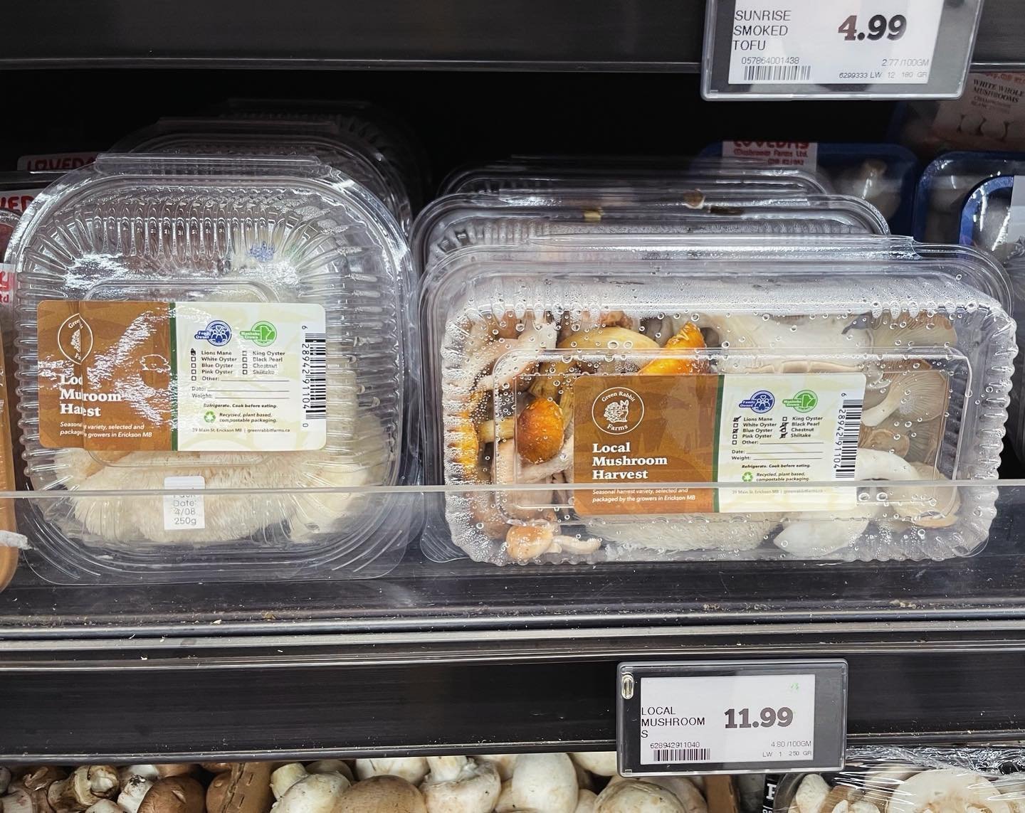 Fresh lions mane mushroom in Brandon?! 🦁 🍄 
You might have seen us popping up in some of your favourite local grocery shops lately! You can now find us at more locations, including the Brandon @heritagecoopltd grocery store! They carry our fresh ha