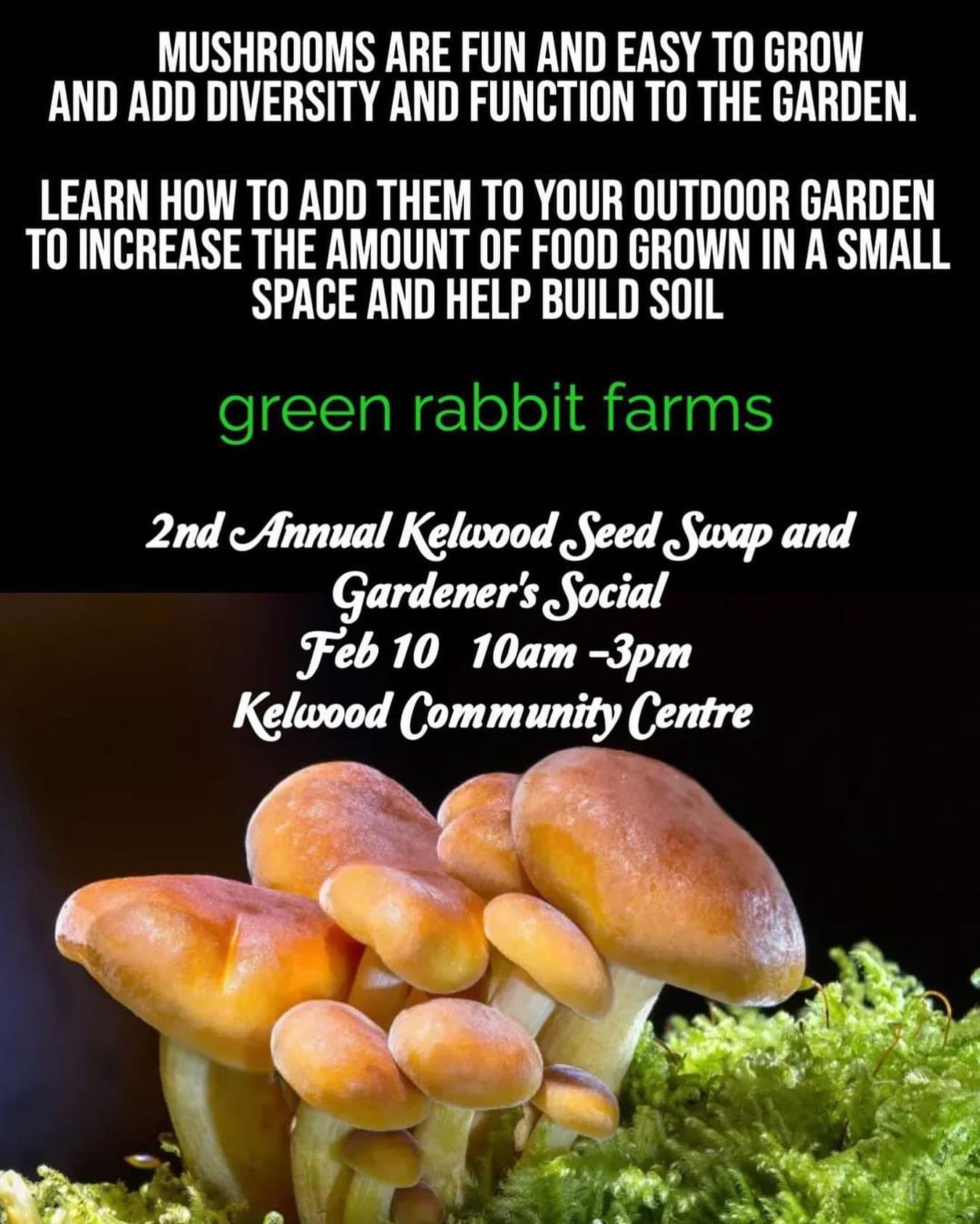 We will be in Kelwood next weekend for a seedy fun time! Come learn how to add mushrooms to your garden and stay for a beautiful community potluck afterwards. #seedysaturday #community #manitoba #kelwood