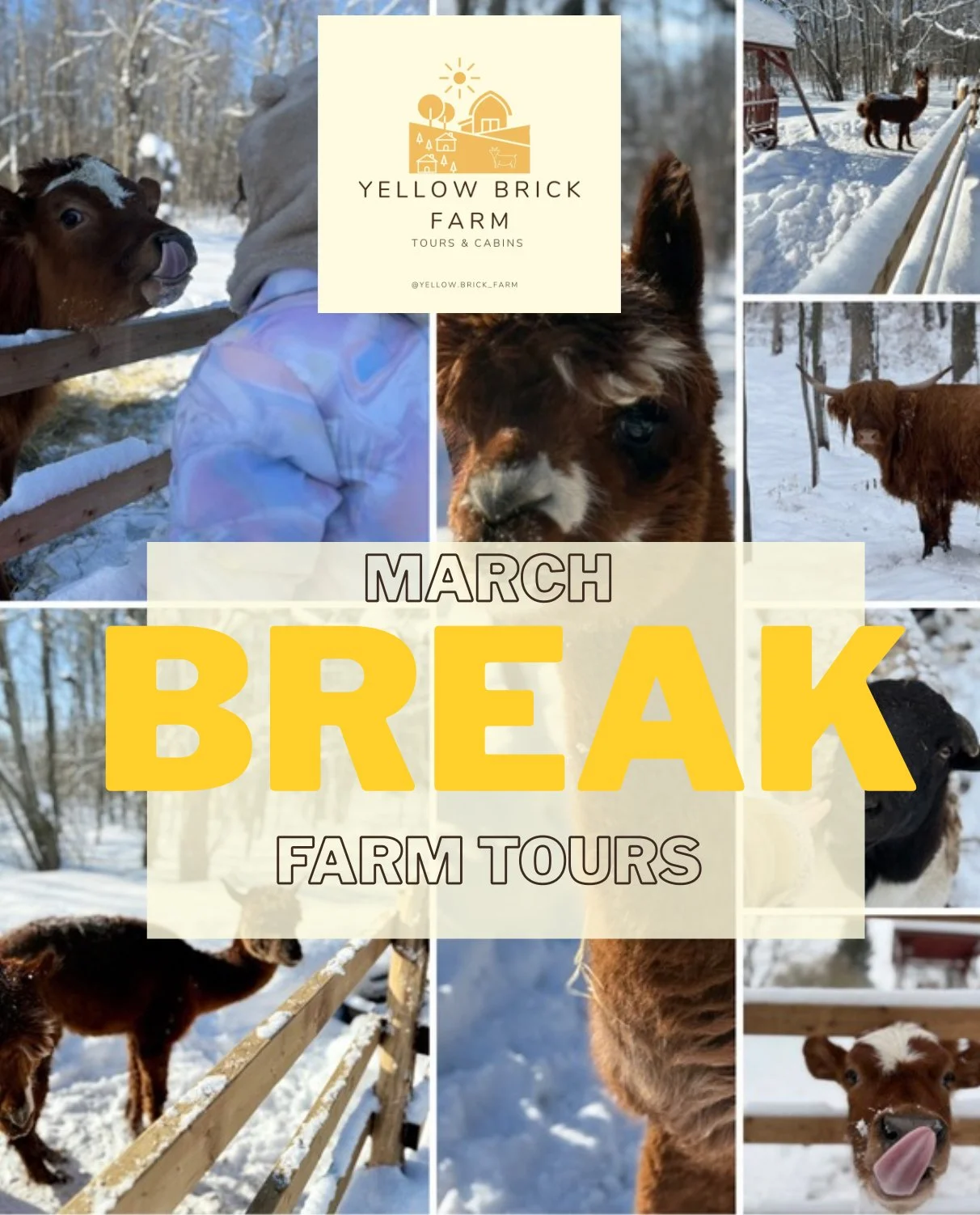 E3BD0E28-A2AB-4799-888C-6B49BADDB33D.jpeg (Copy)