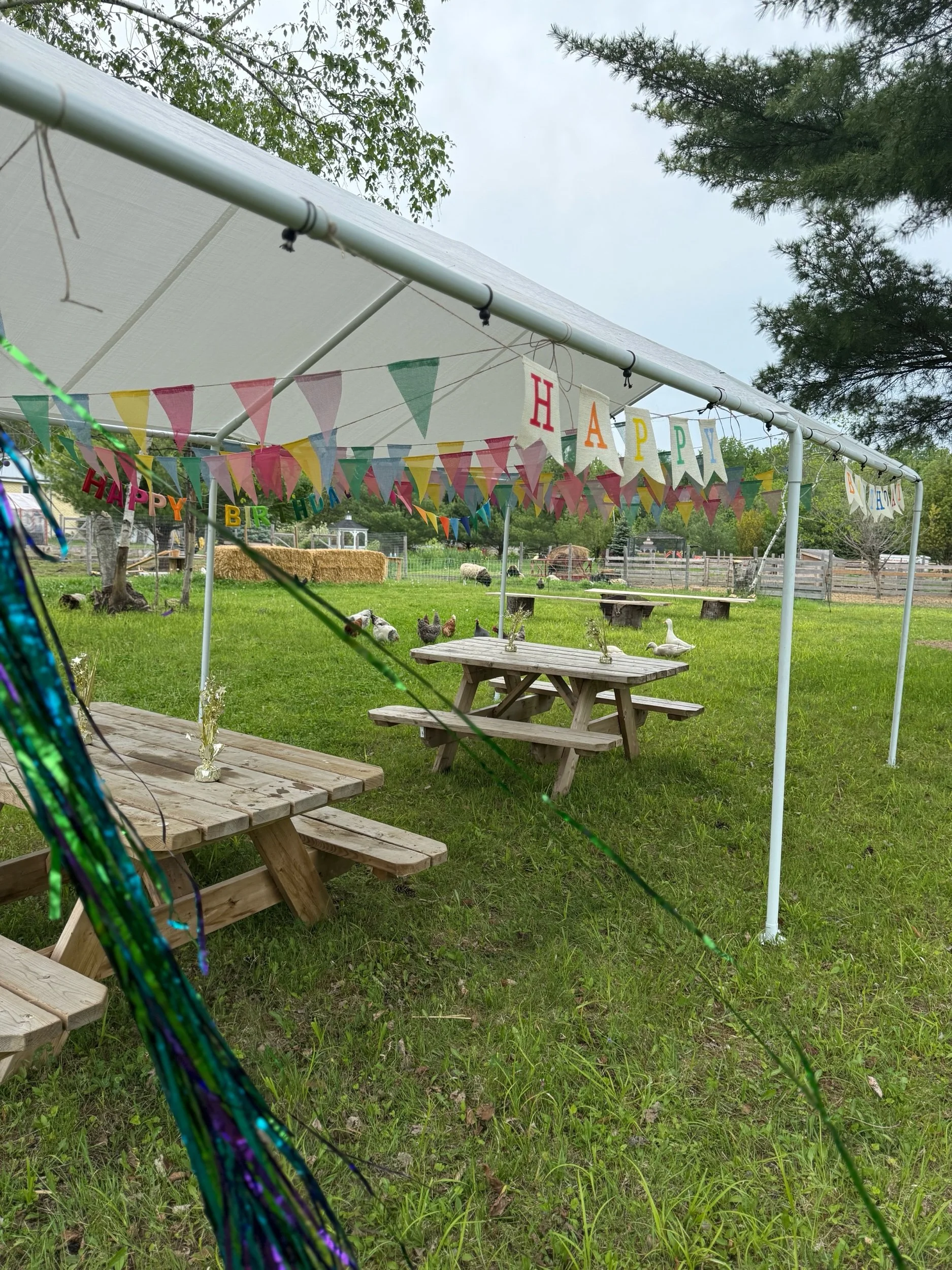 Birthday Parties and Private Celebrations on the Farm