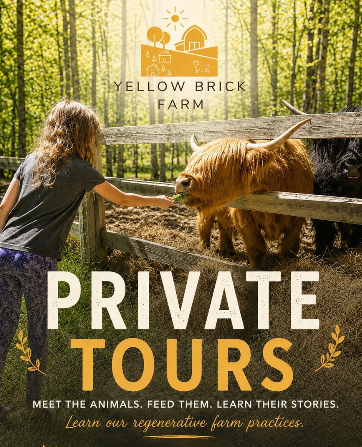 Private Tour *By Appointment (Contact us by email or DM)