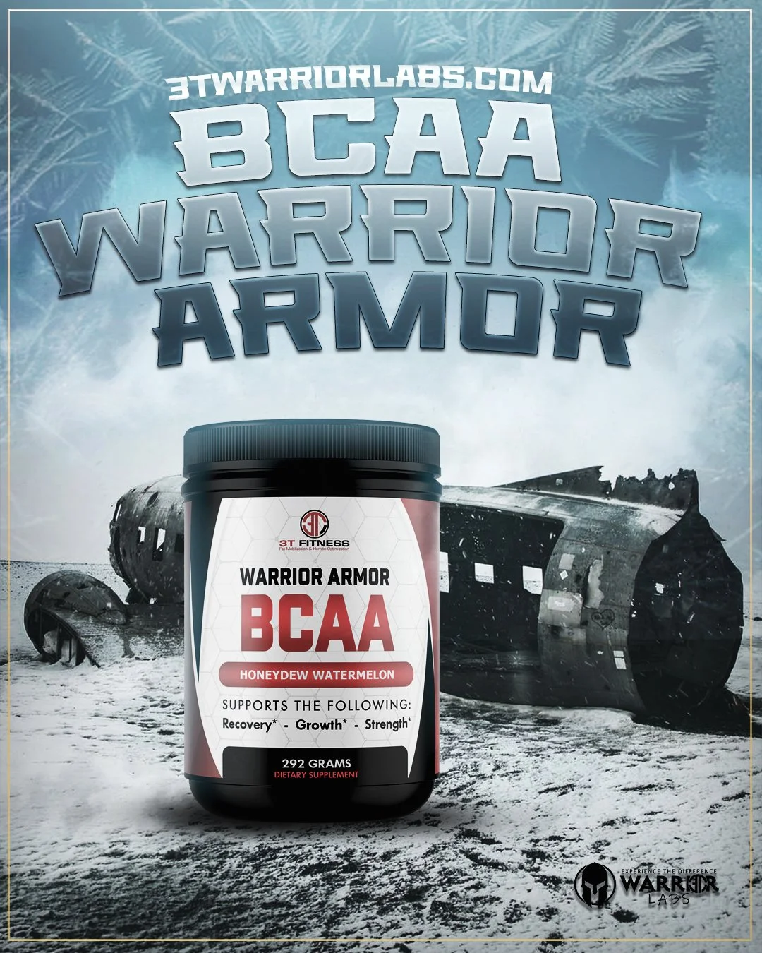 bcaa_warrior_armor_12.25.jpg